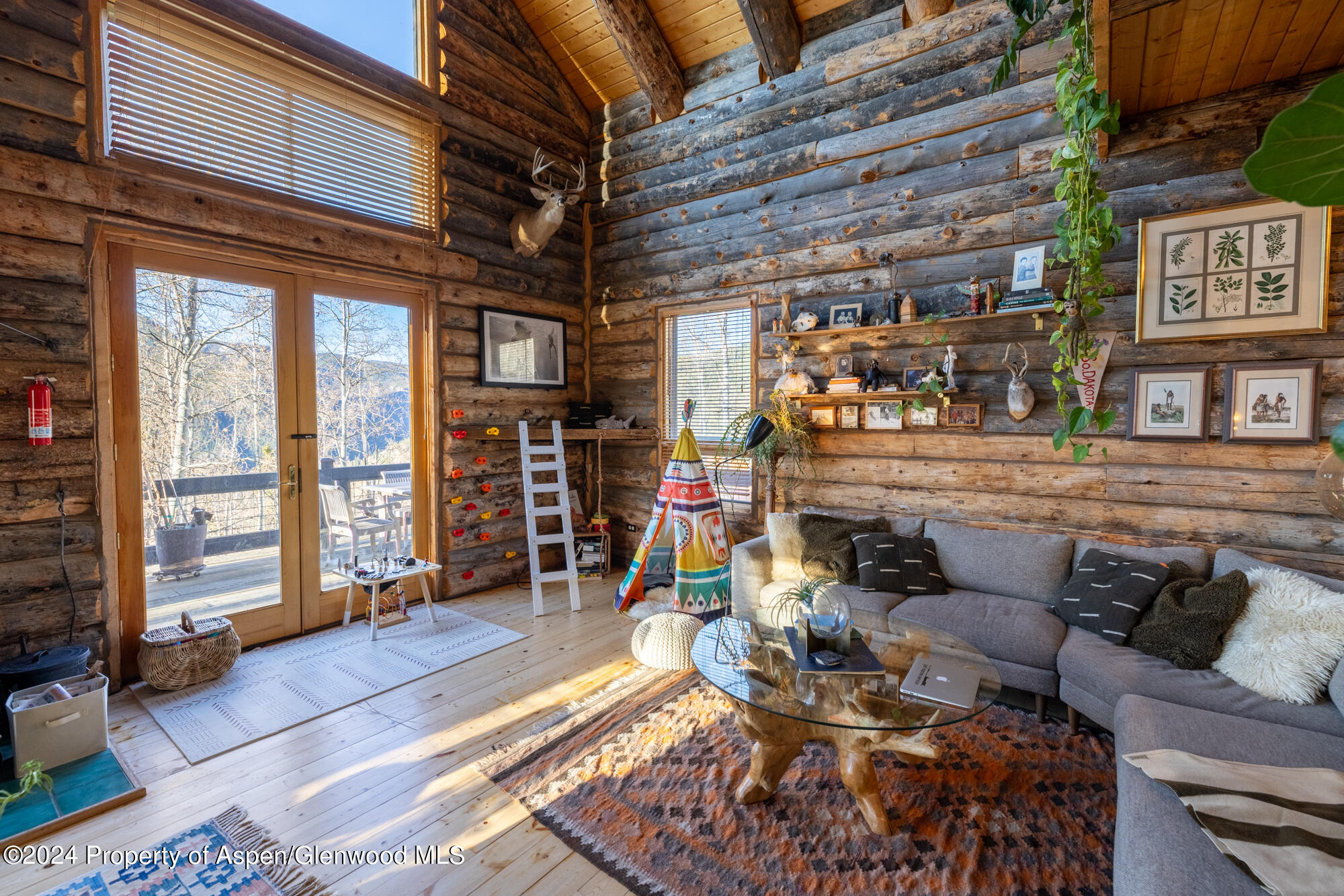 390 Hawk Lane Basalt CO 81621