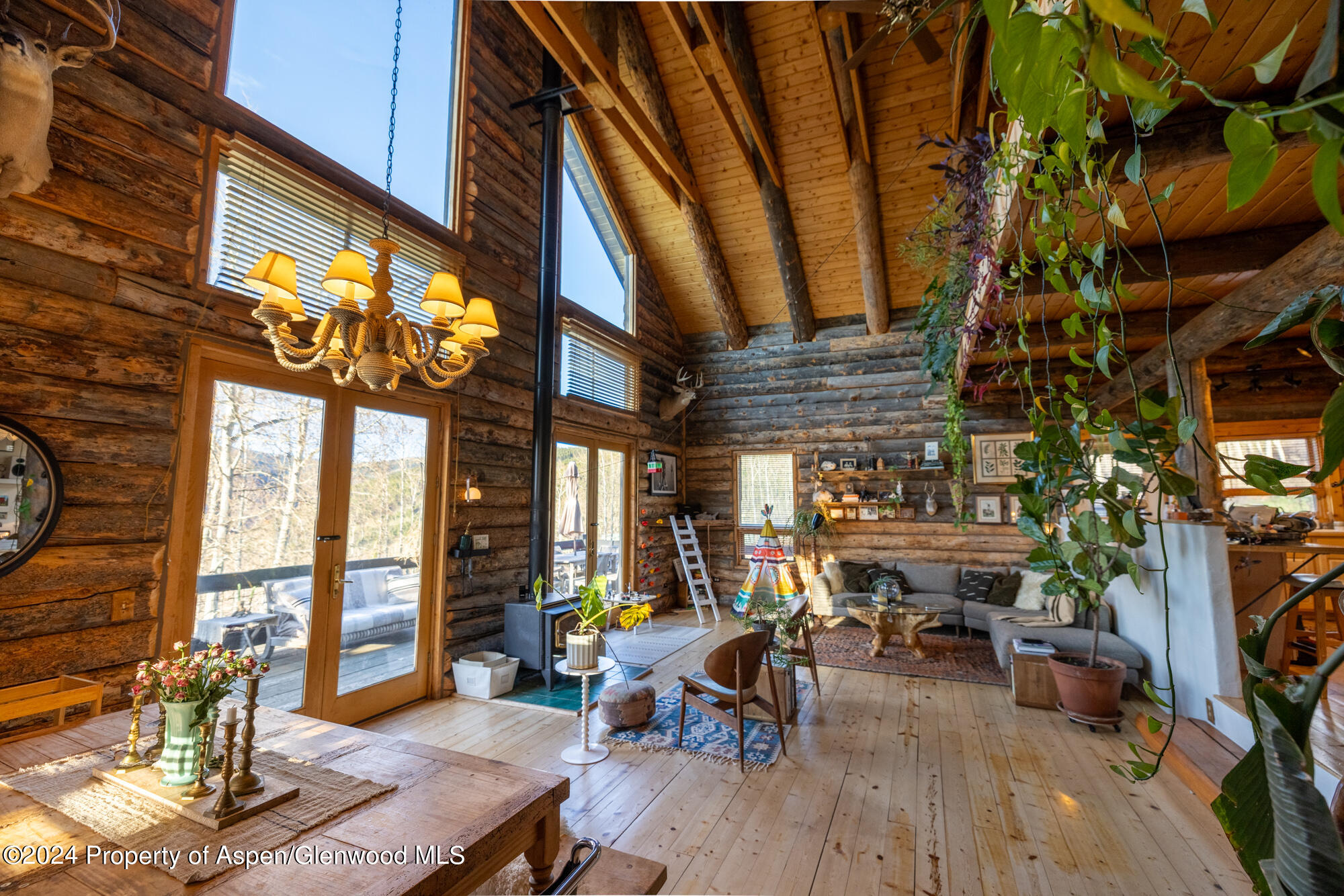 390 Hawk Lane Basalt CO 81621