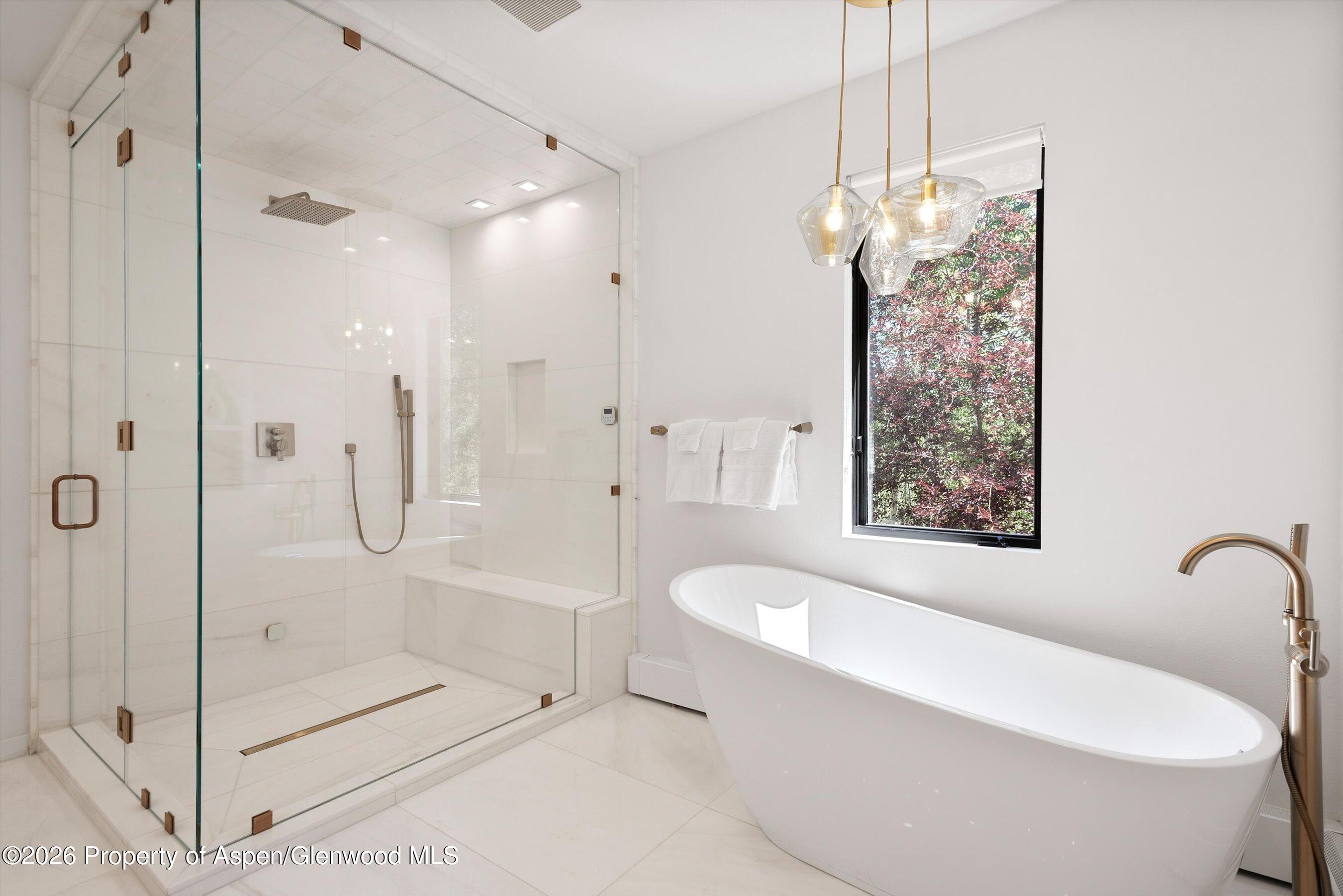 233 Stellar Lane Snowmass Village CO 81615