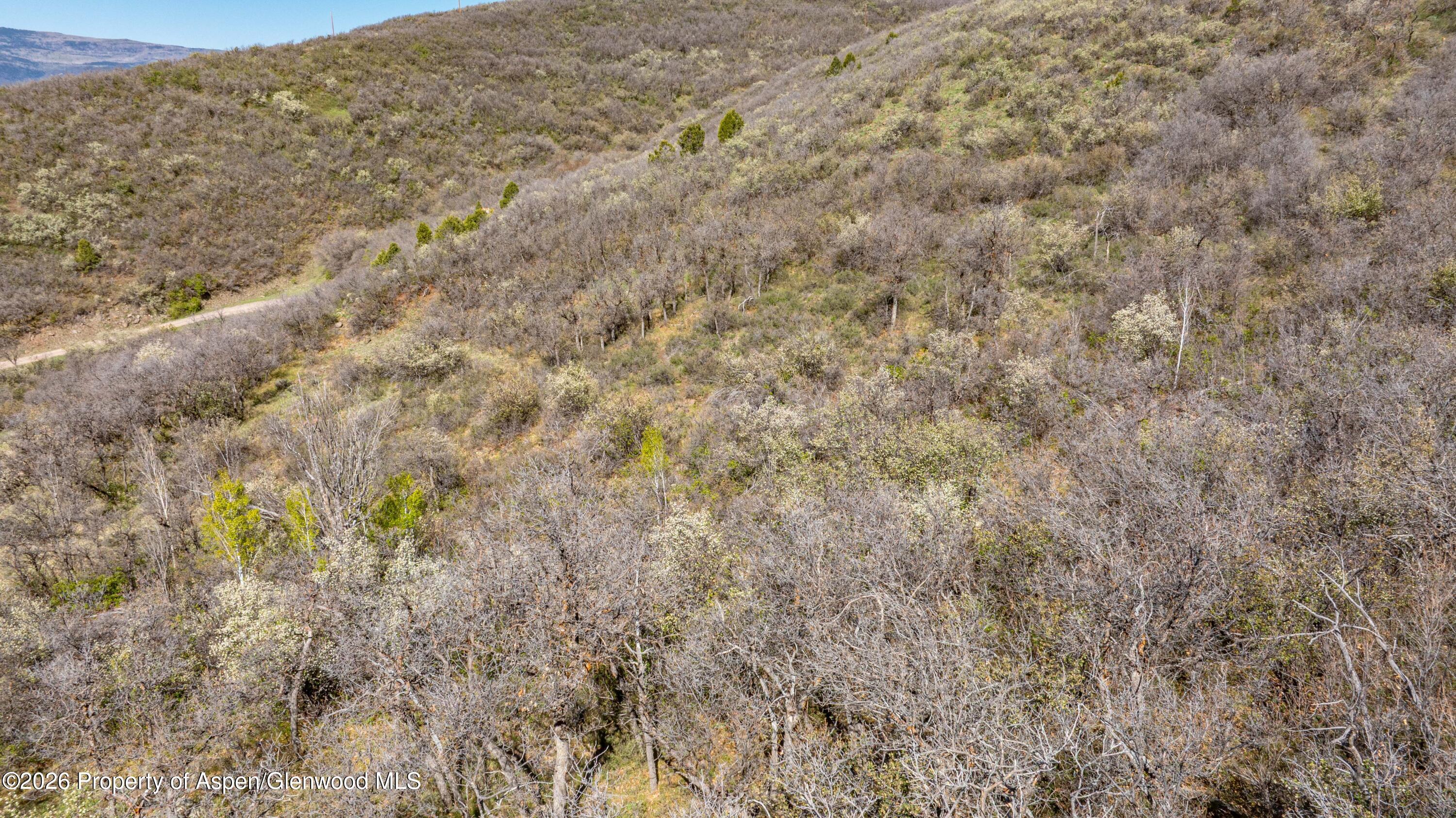 1894 Homestead Road Glenwood Springs CO 81601