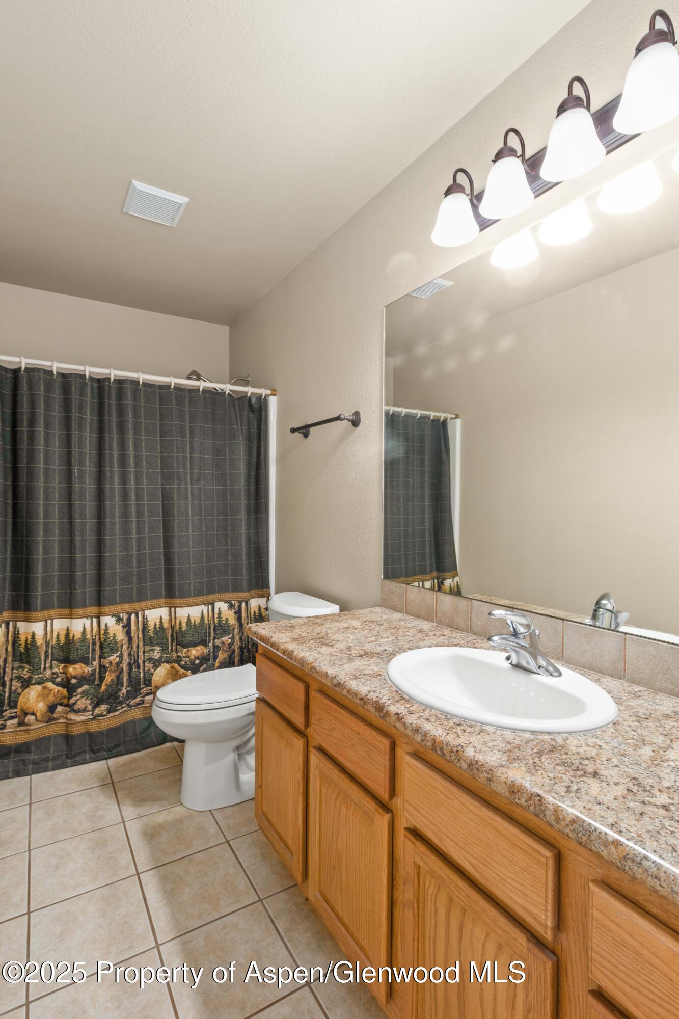 140 Anvil Lane Parachute CO 81635