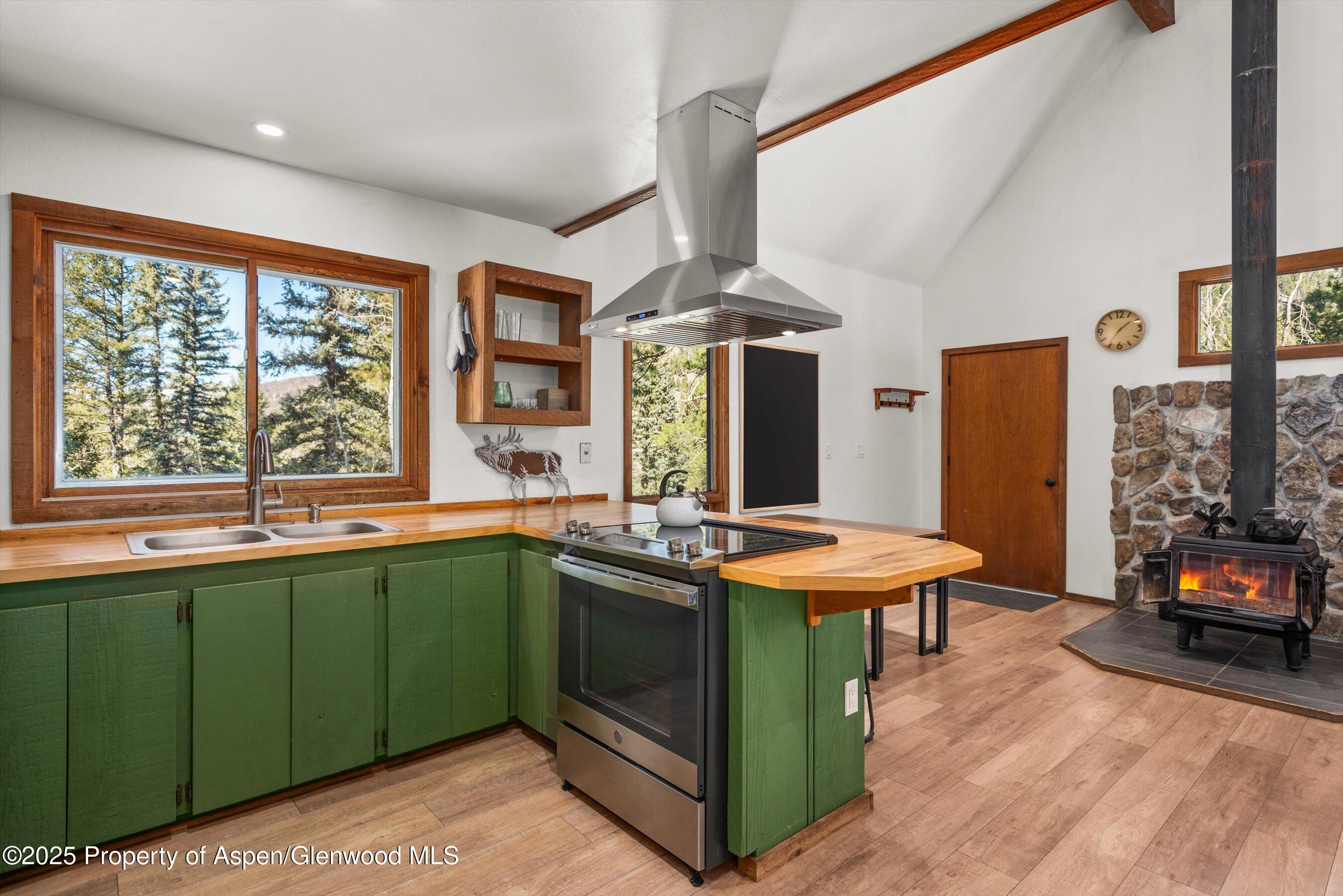 132 Panorama Drive Marble CO 81623