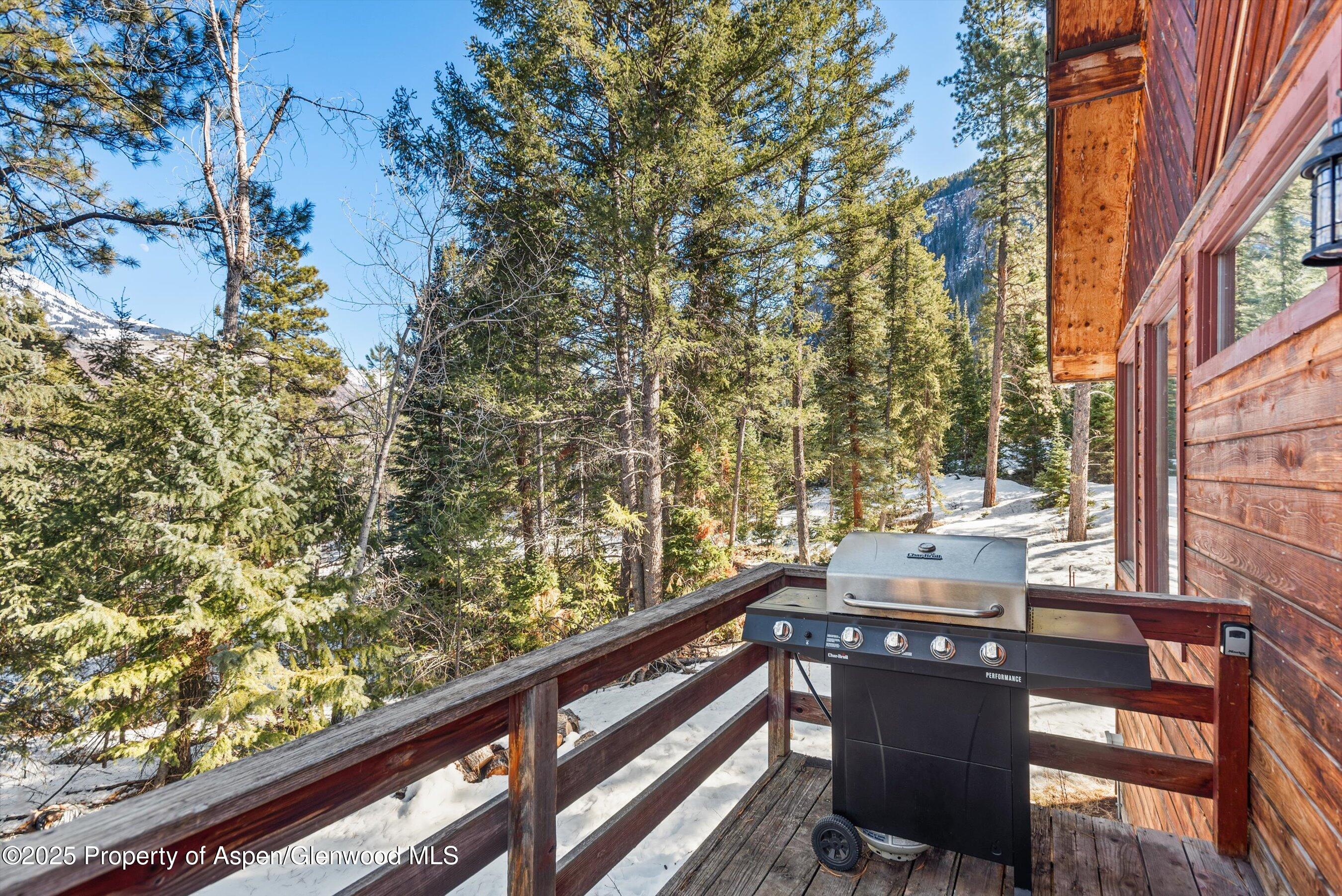 132 Panorama Drive Marble CO 81623