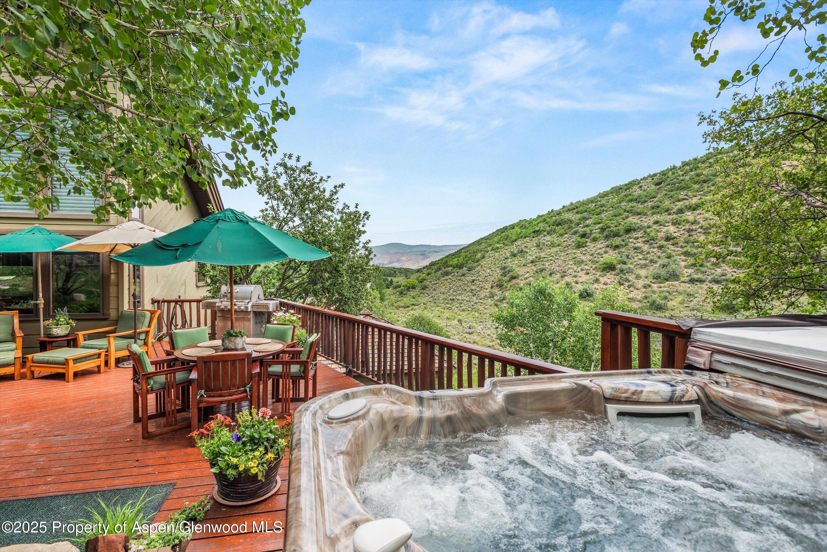 477 Aspen Oak Drive Aspen CO 81611
