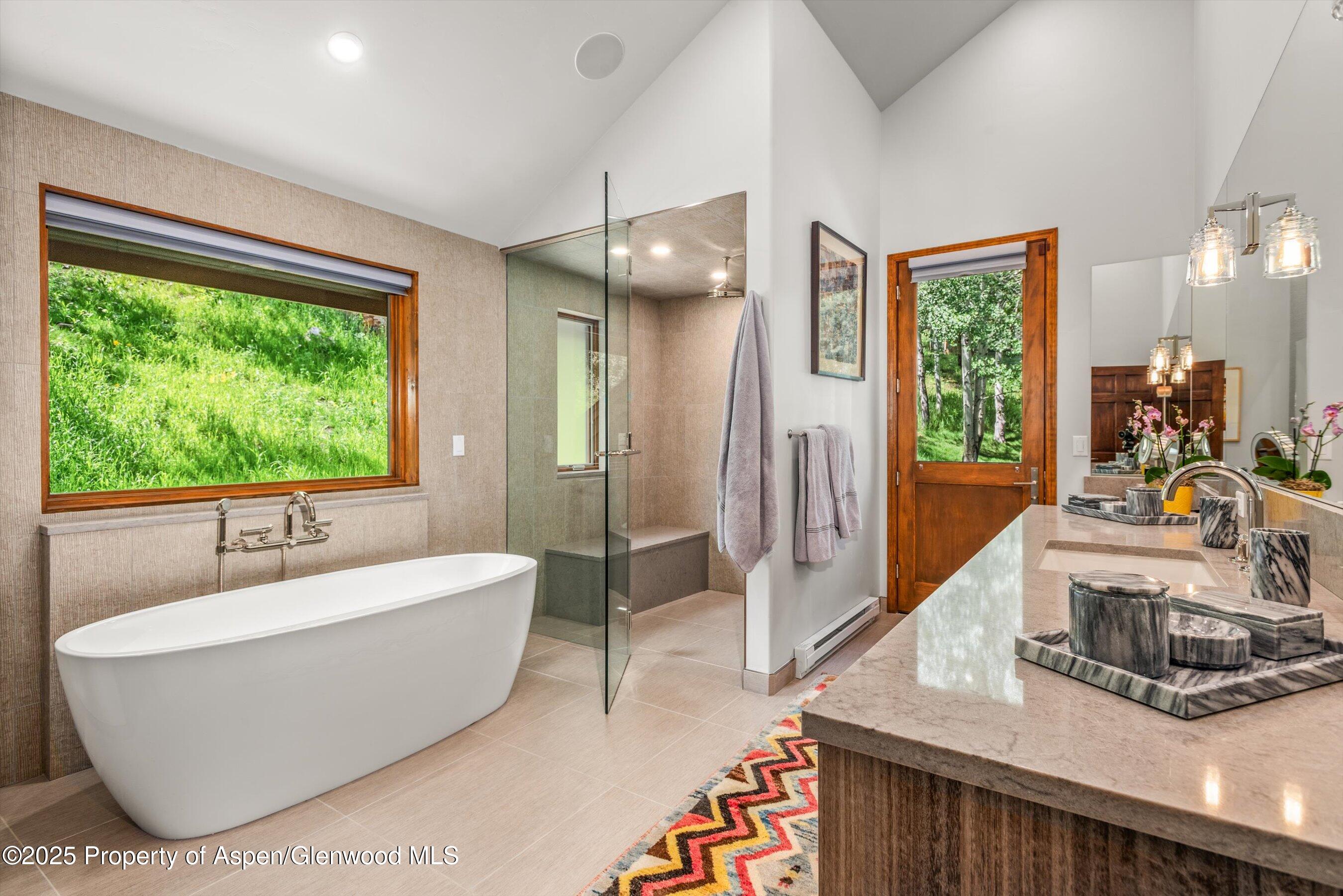 477 Aspen Oak Drive Aspen CO 81611