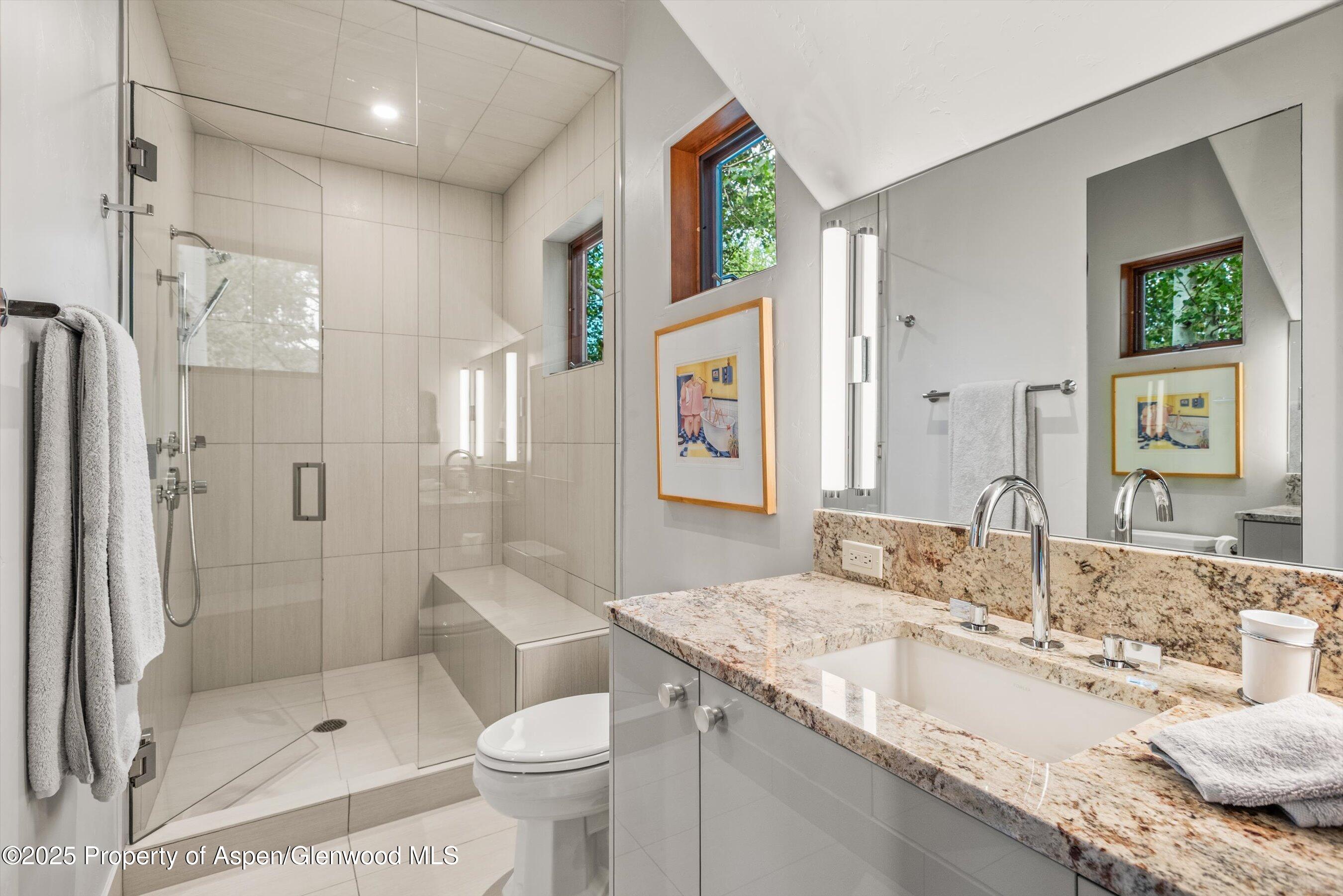 477 Aspen Oak Drive Aspen CO 81611