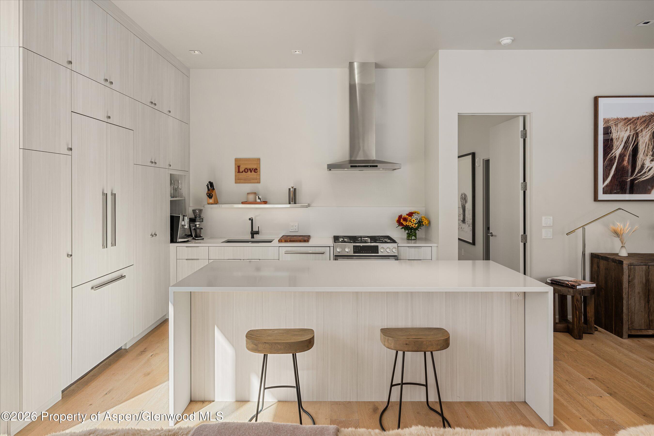 101 Willits Way Basalt CO 81621