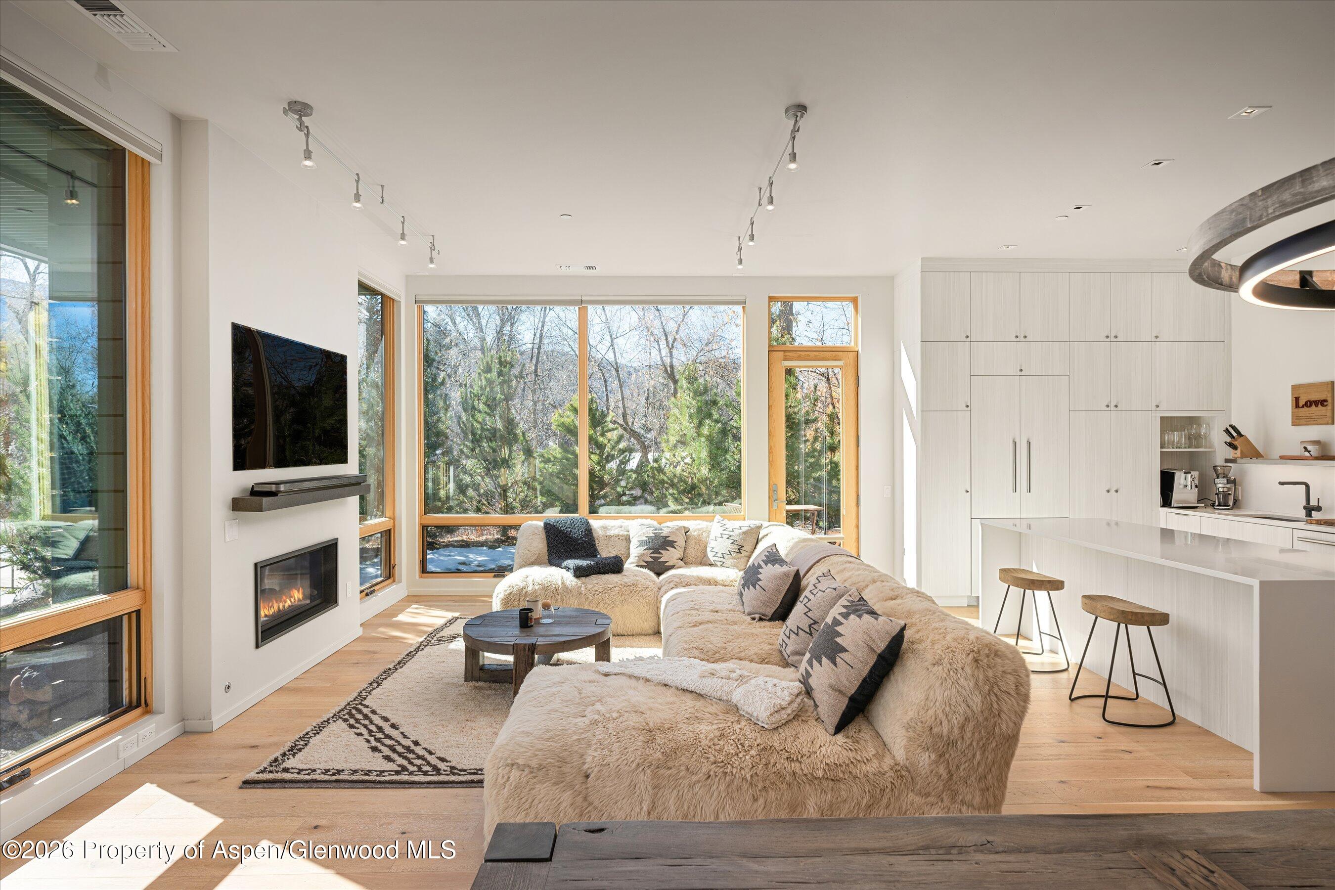 101 Willits Way Basalt CO 81621