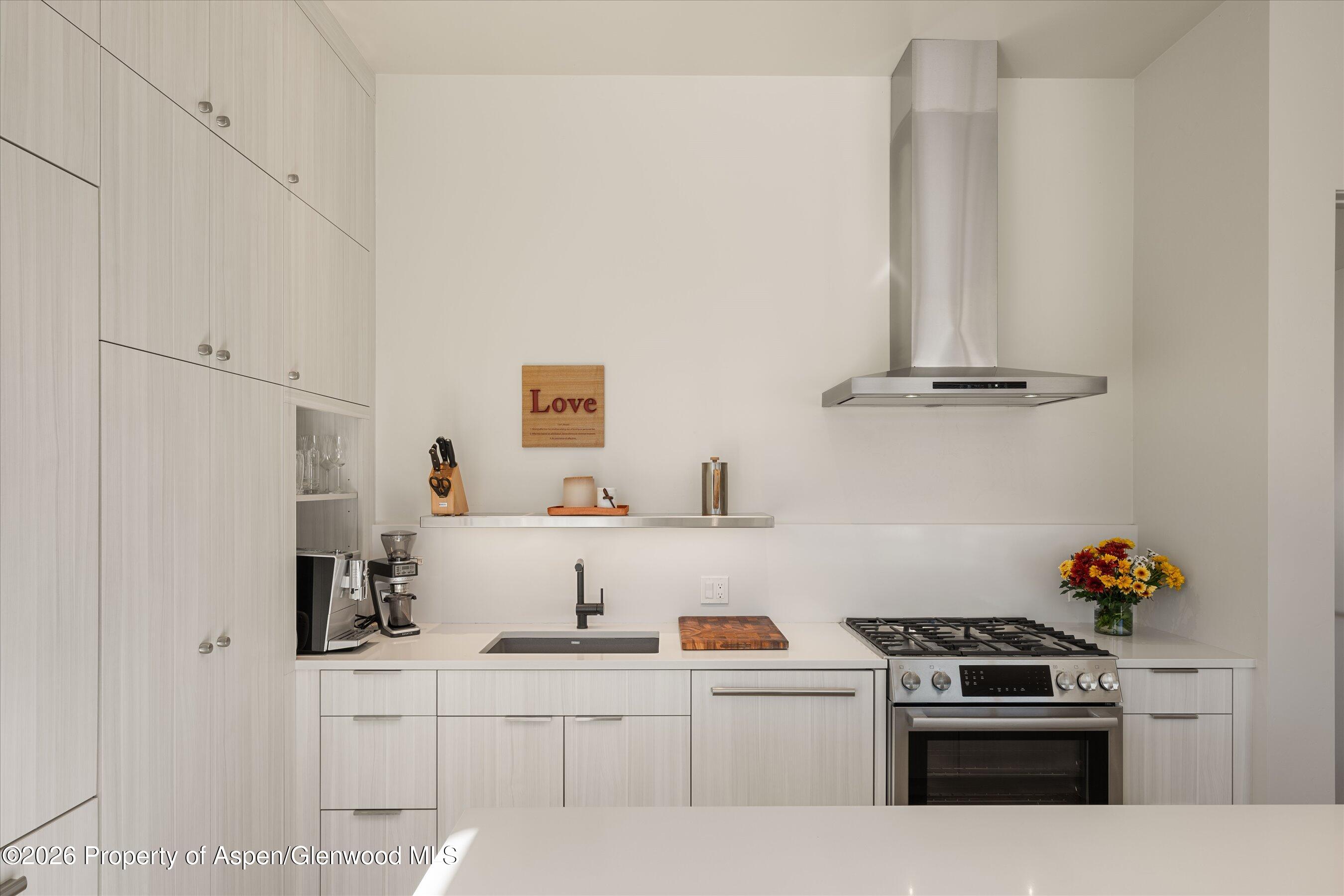 101 Willits Way Basalt CO 81621