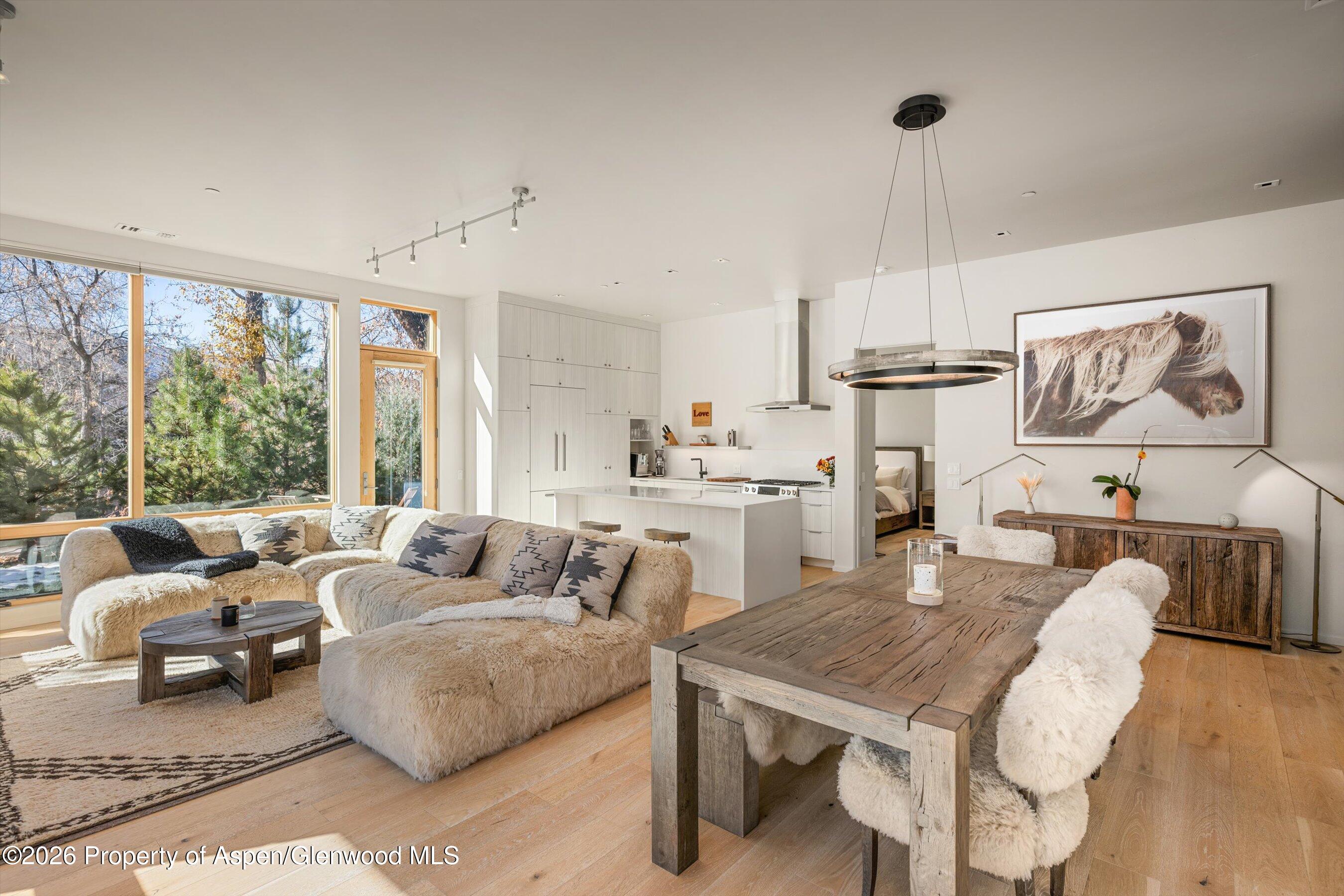 101 Willits Way Basalt CO 81621