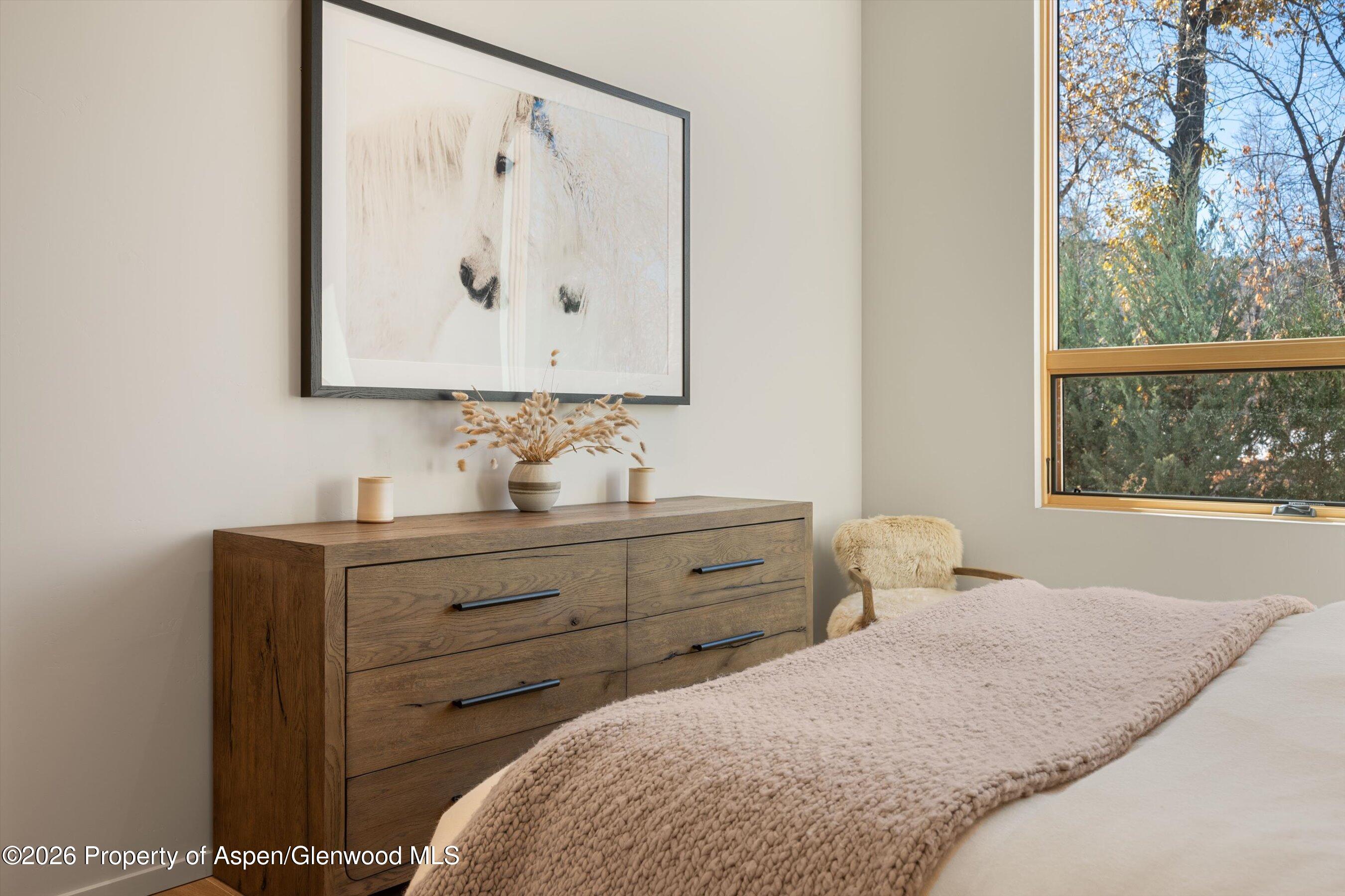 101 Willits Way Basalt CO 81621