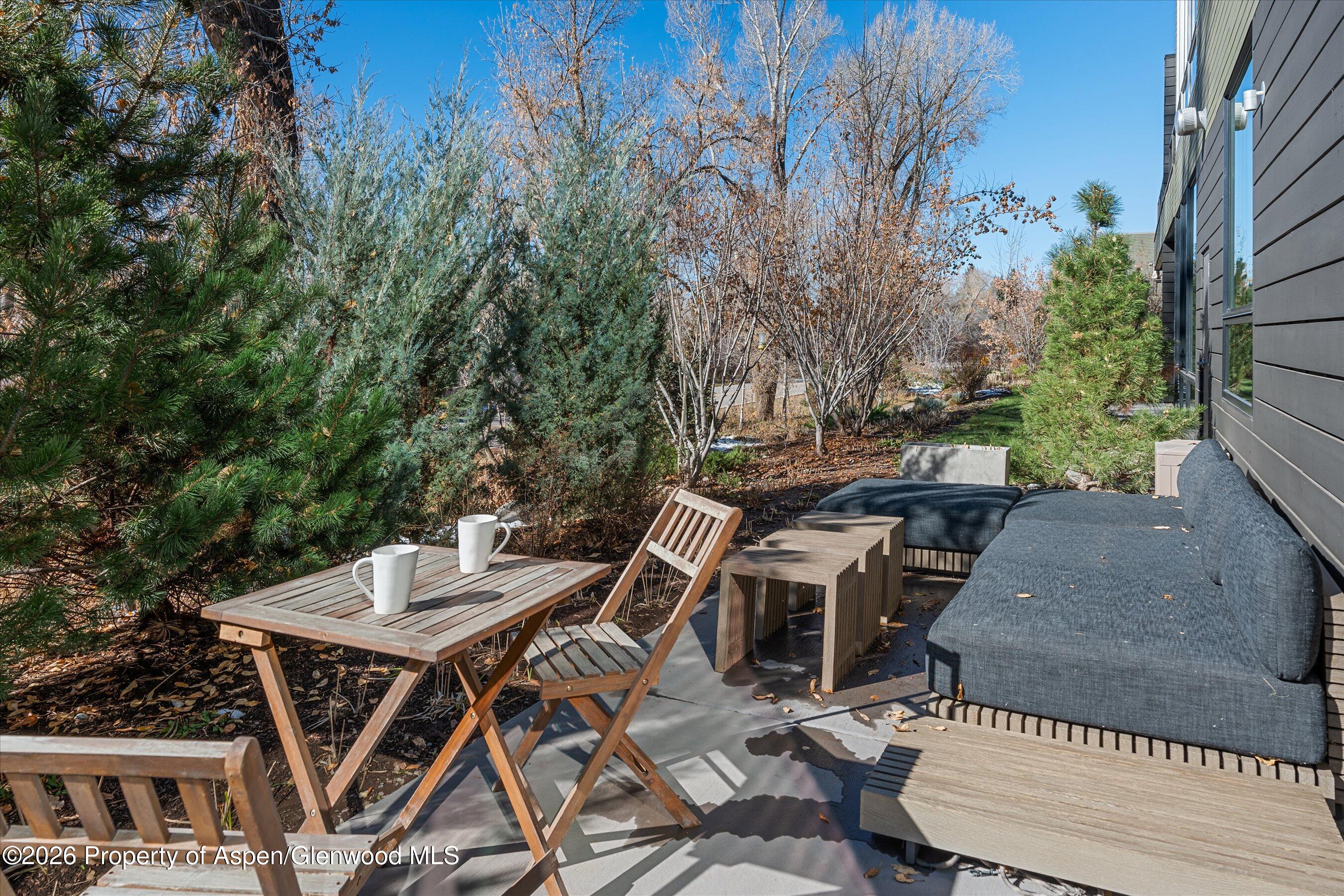101 Willits Way Basalt CO 81621