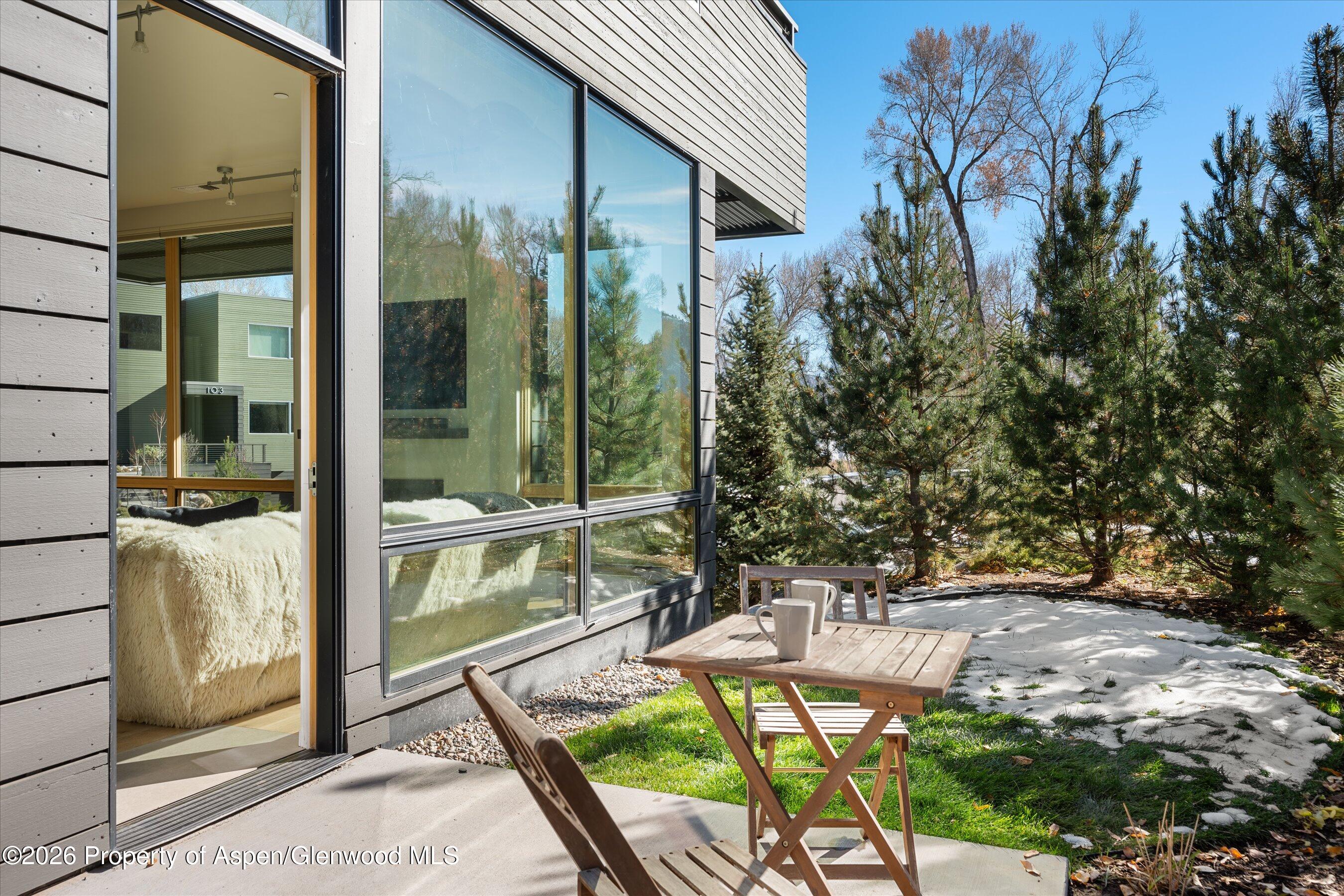 101 Willits Way Basalt CO 81621