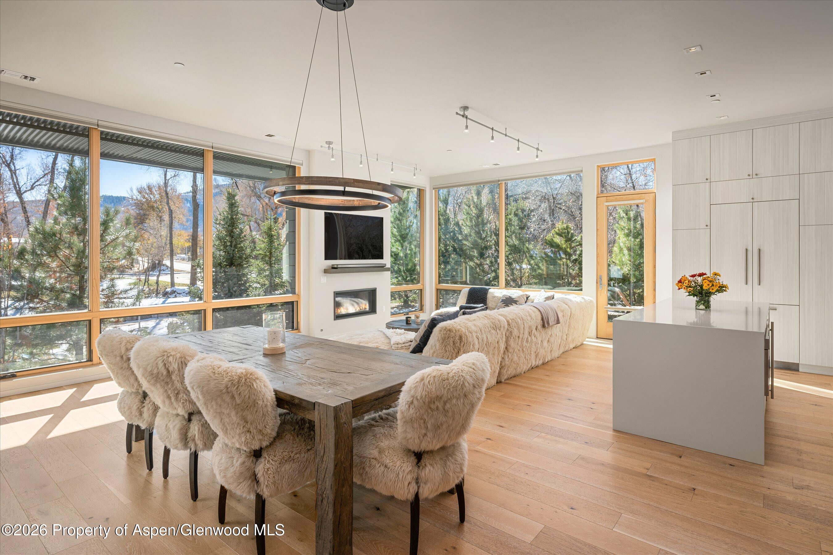 101 Willits Way Basalt CO 81621
