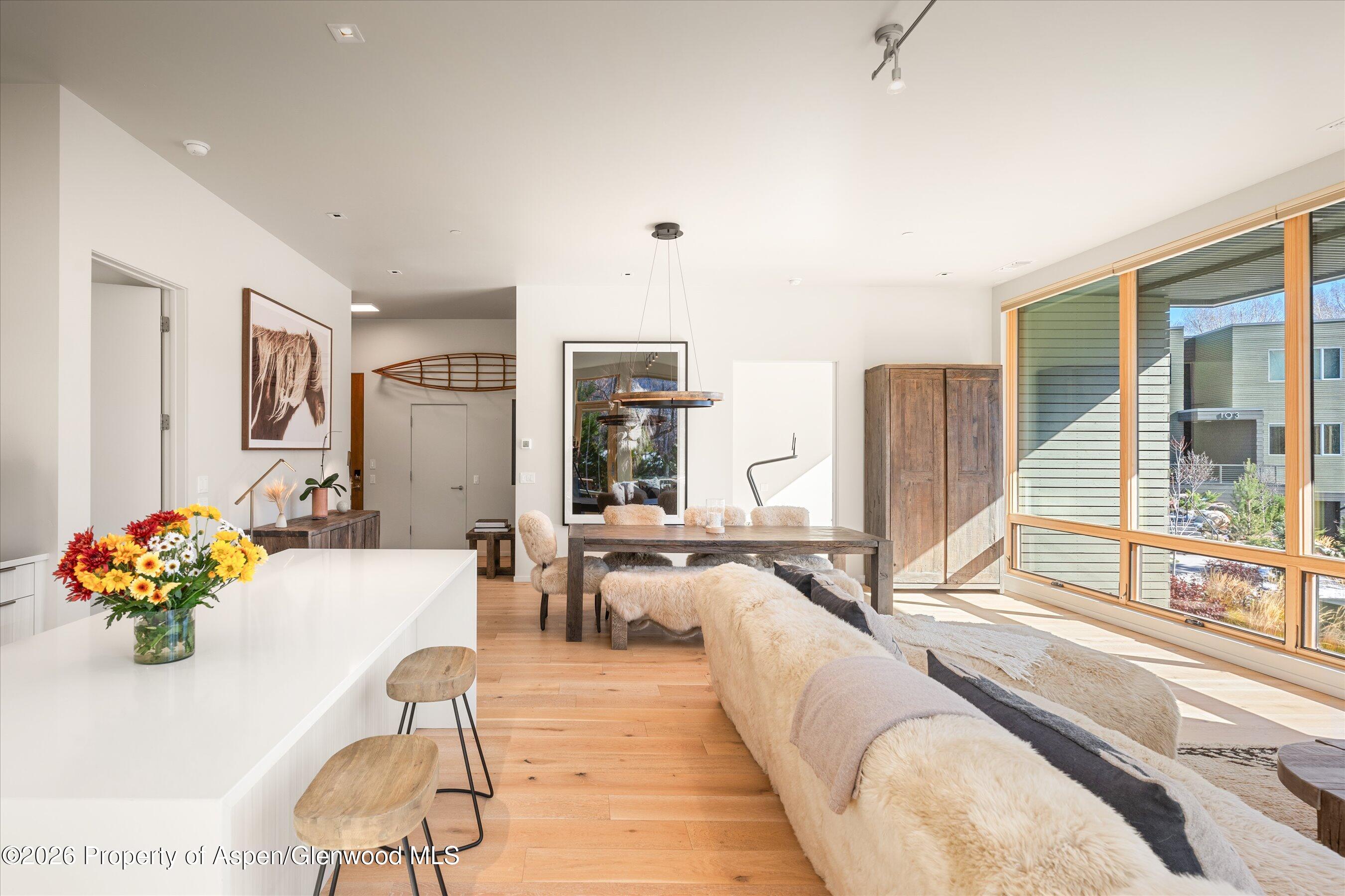 101 Willits Way Basalt CO 81621