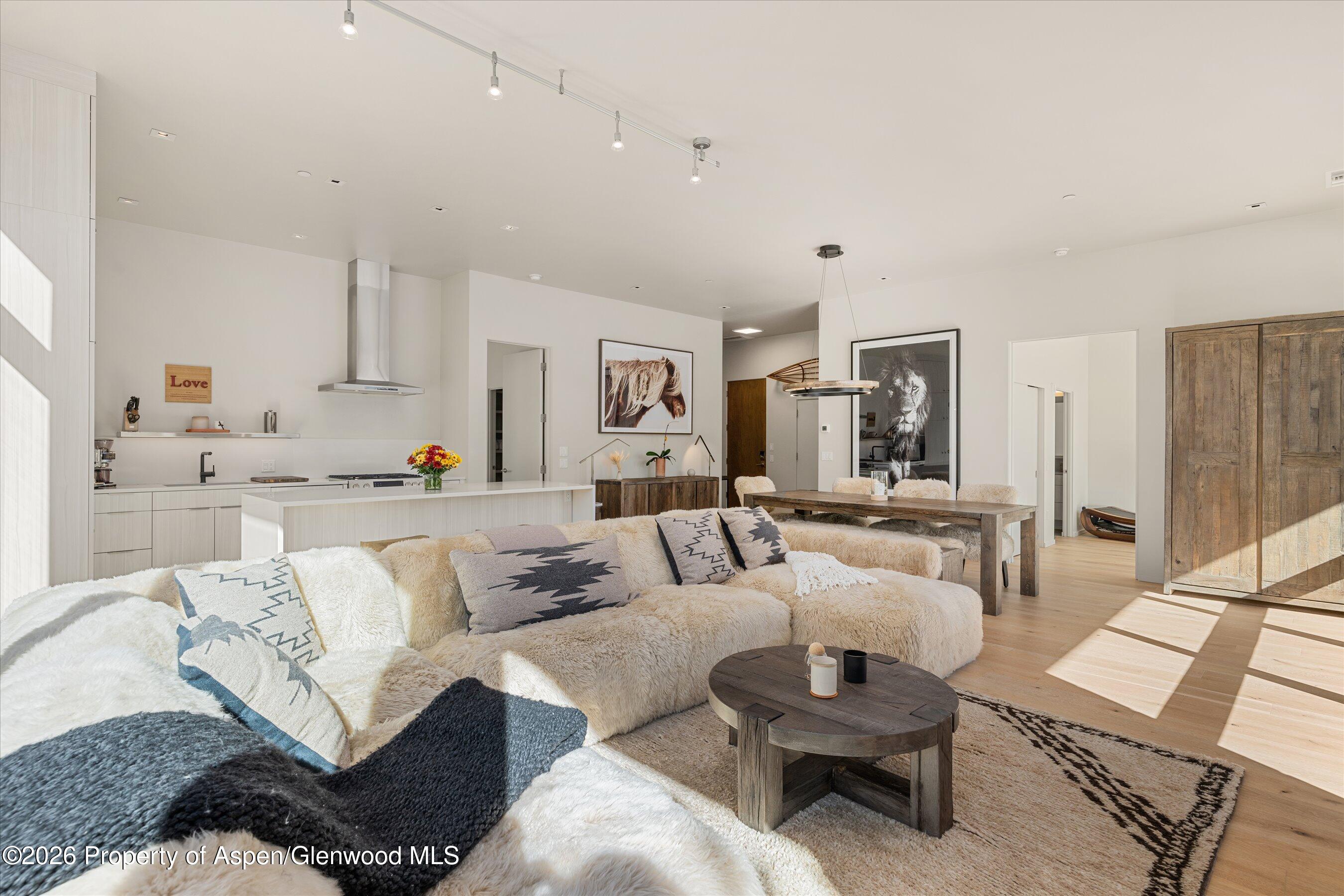 101 Willits Way Basalt CO 81621