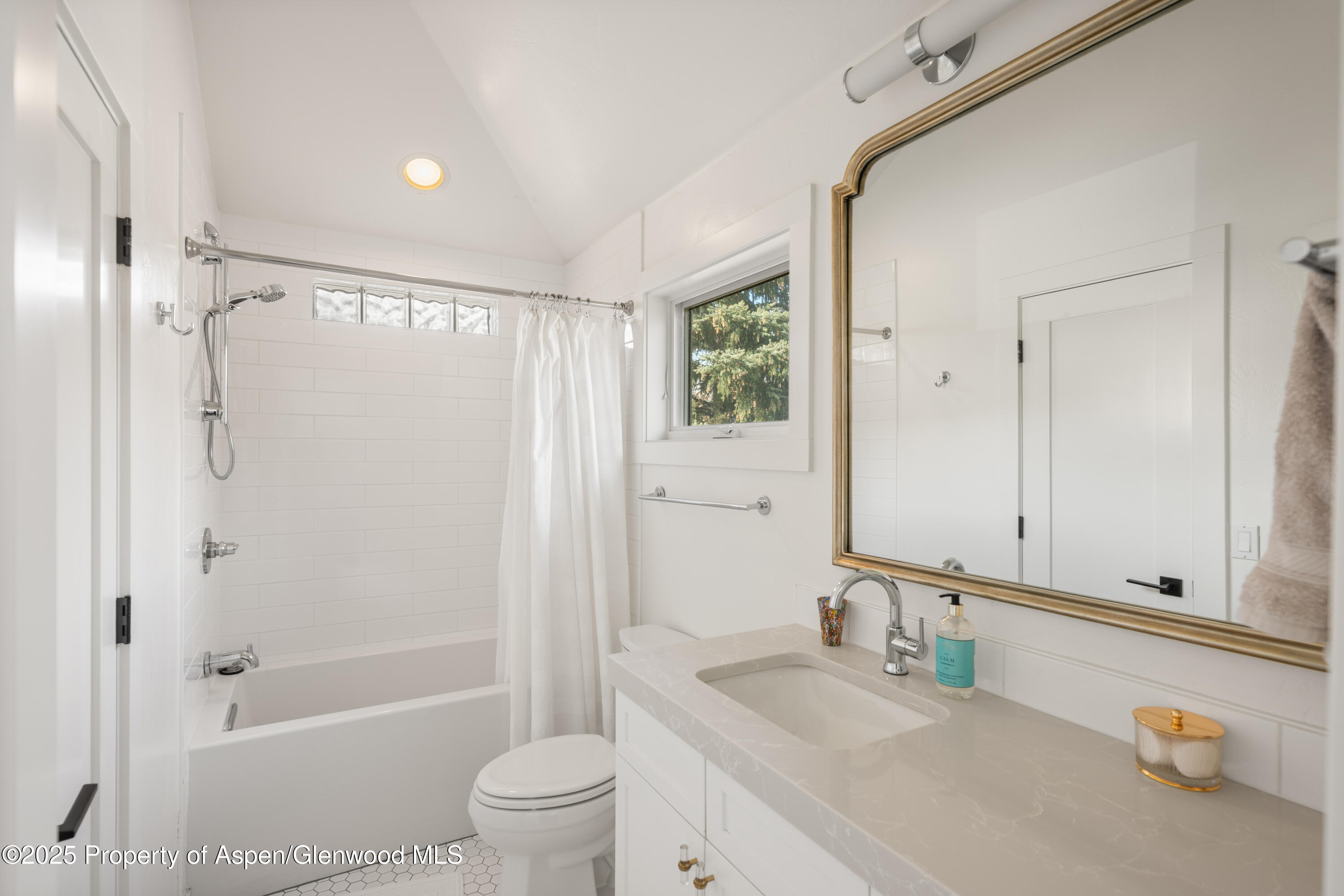 1018 Lauren Lane Basalt CO 81621