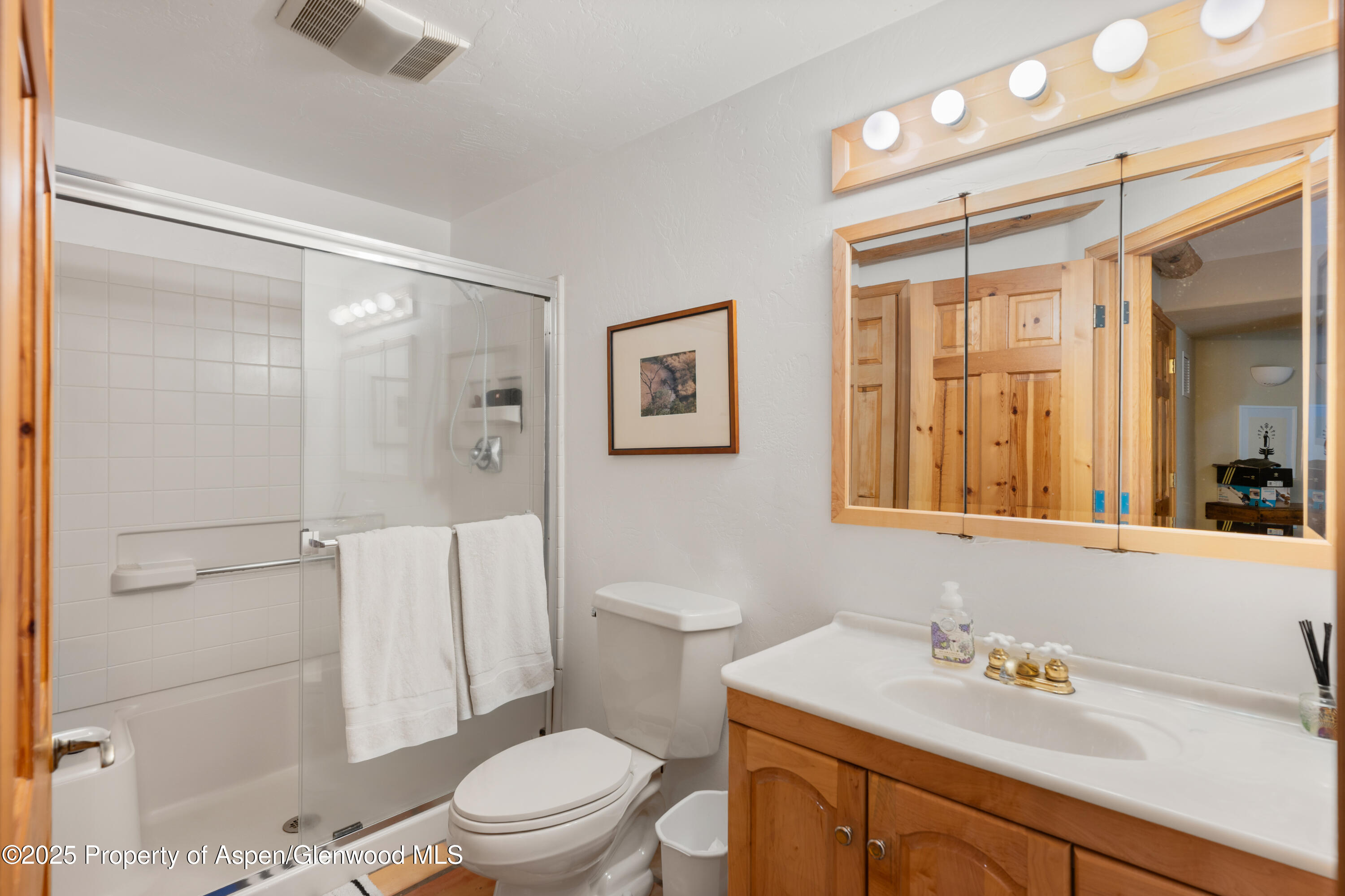 1018 Lauren Lane Basalt CO 81621