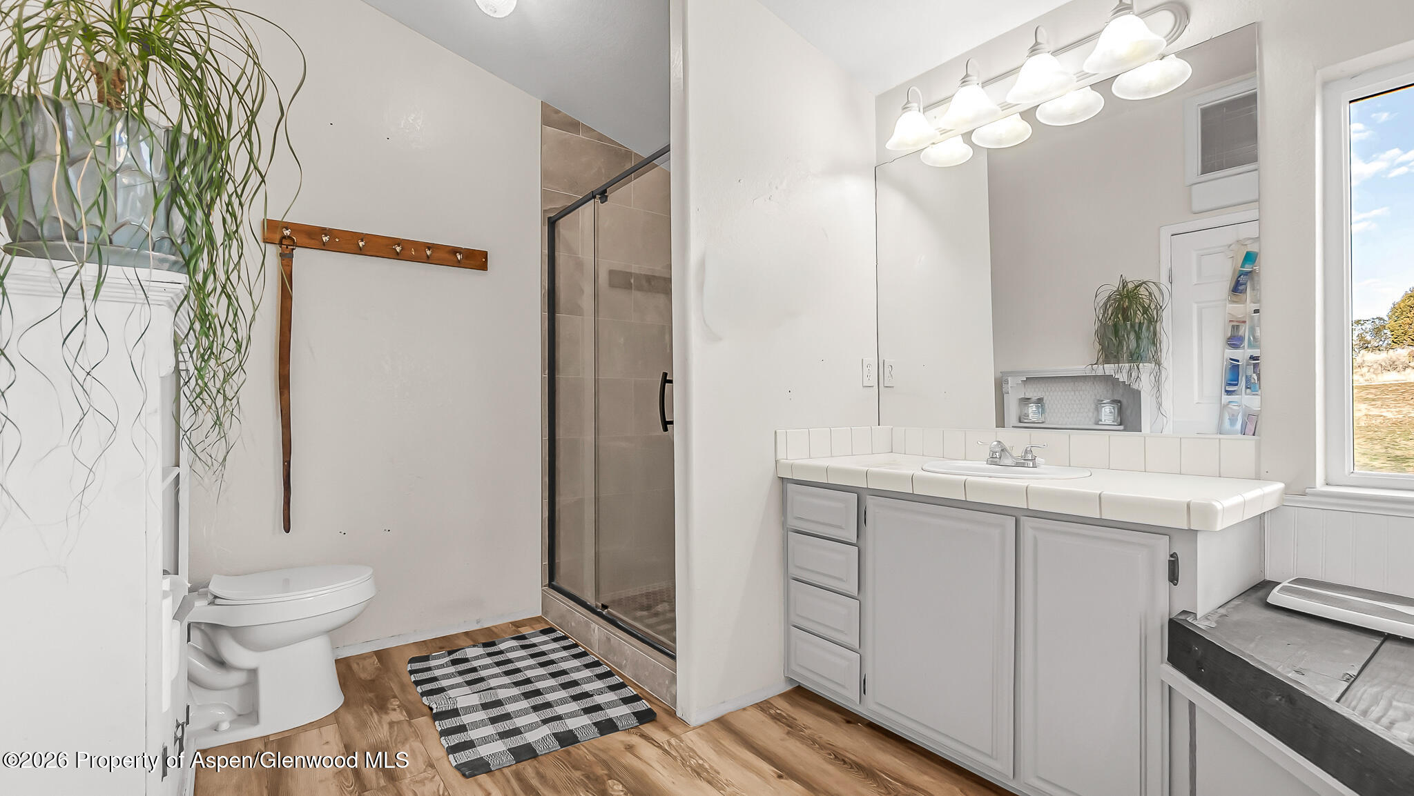 201 Dj Road Parachute CO 81635