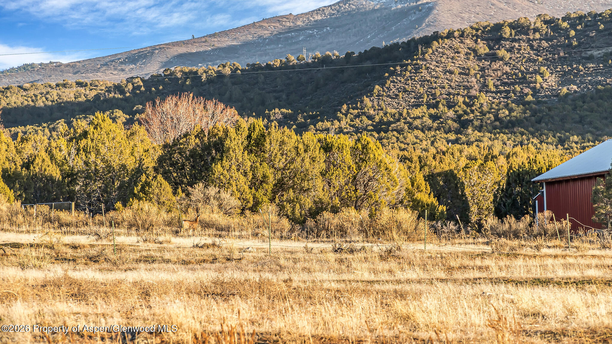 201 Dj Road Parachute CO 81635