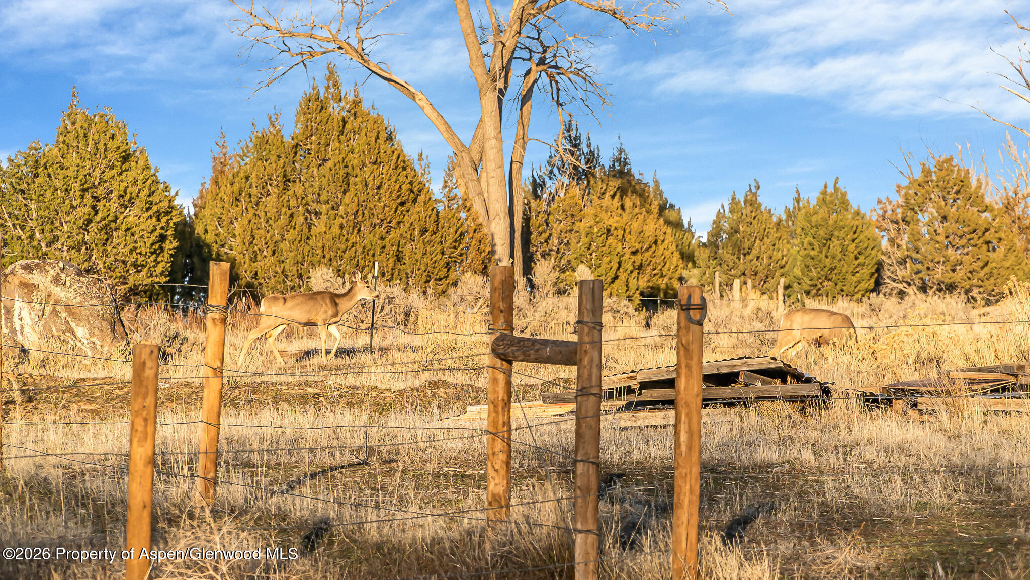 201 Dj Road Parachute CO 81635