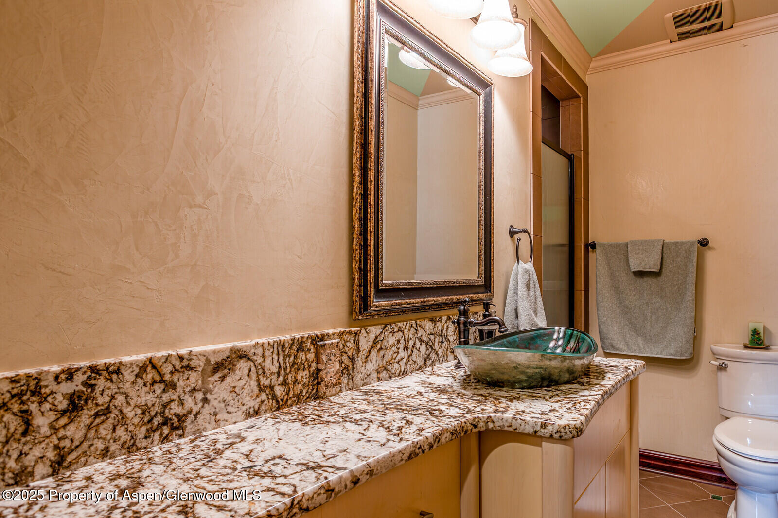 81 River Park Lane Carbondale CO 81623