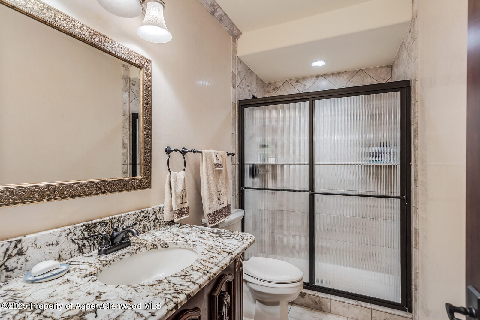 81 River Park Lane Carbondale CO 81623