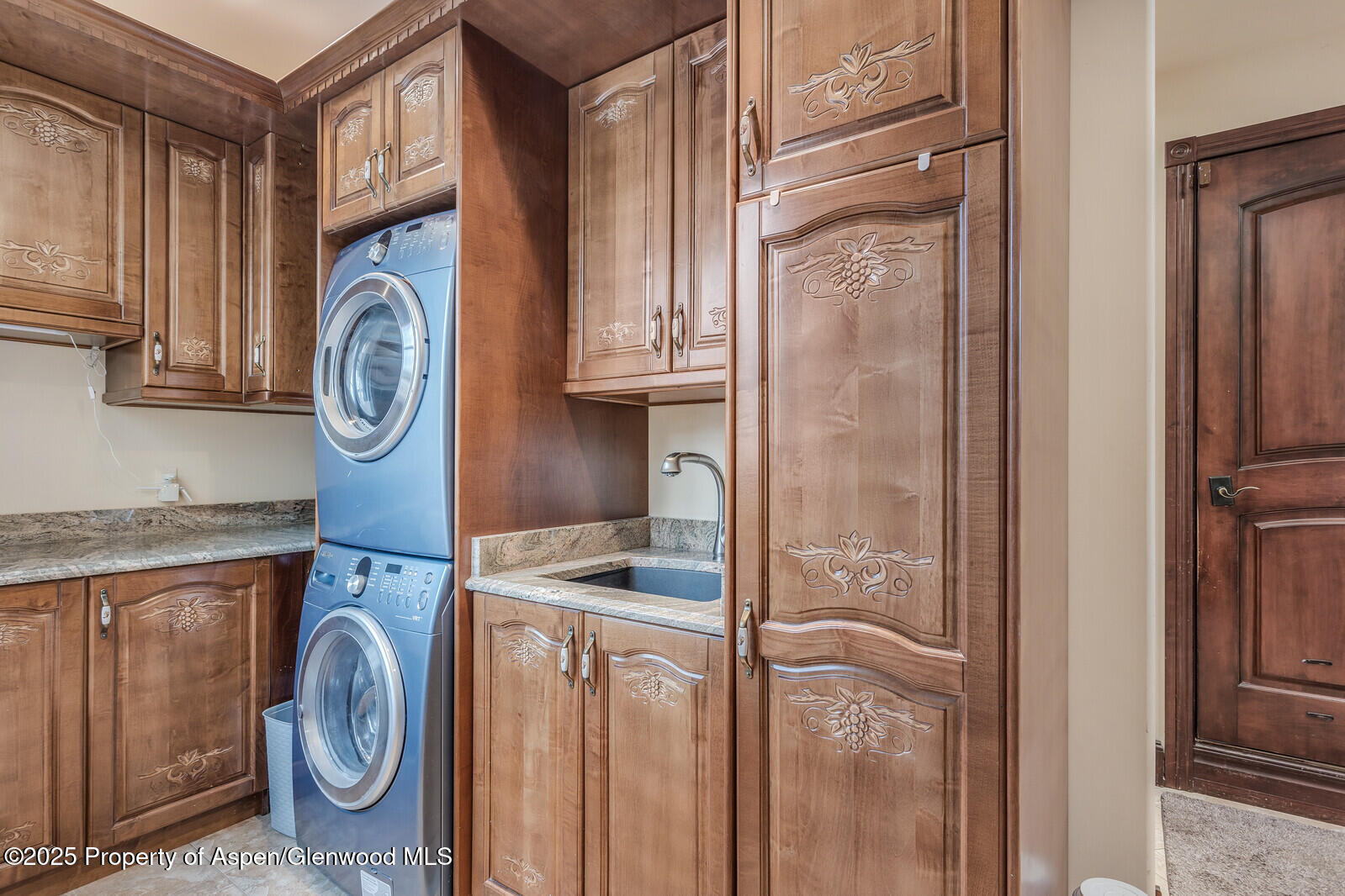 81 River Park Lane Carbondale CO 81623