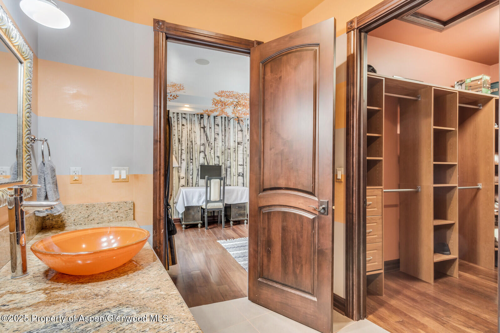 81 River Park Lane Carbondale CO 81623