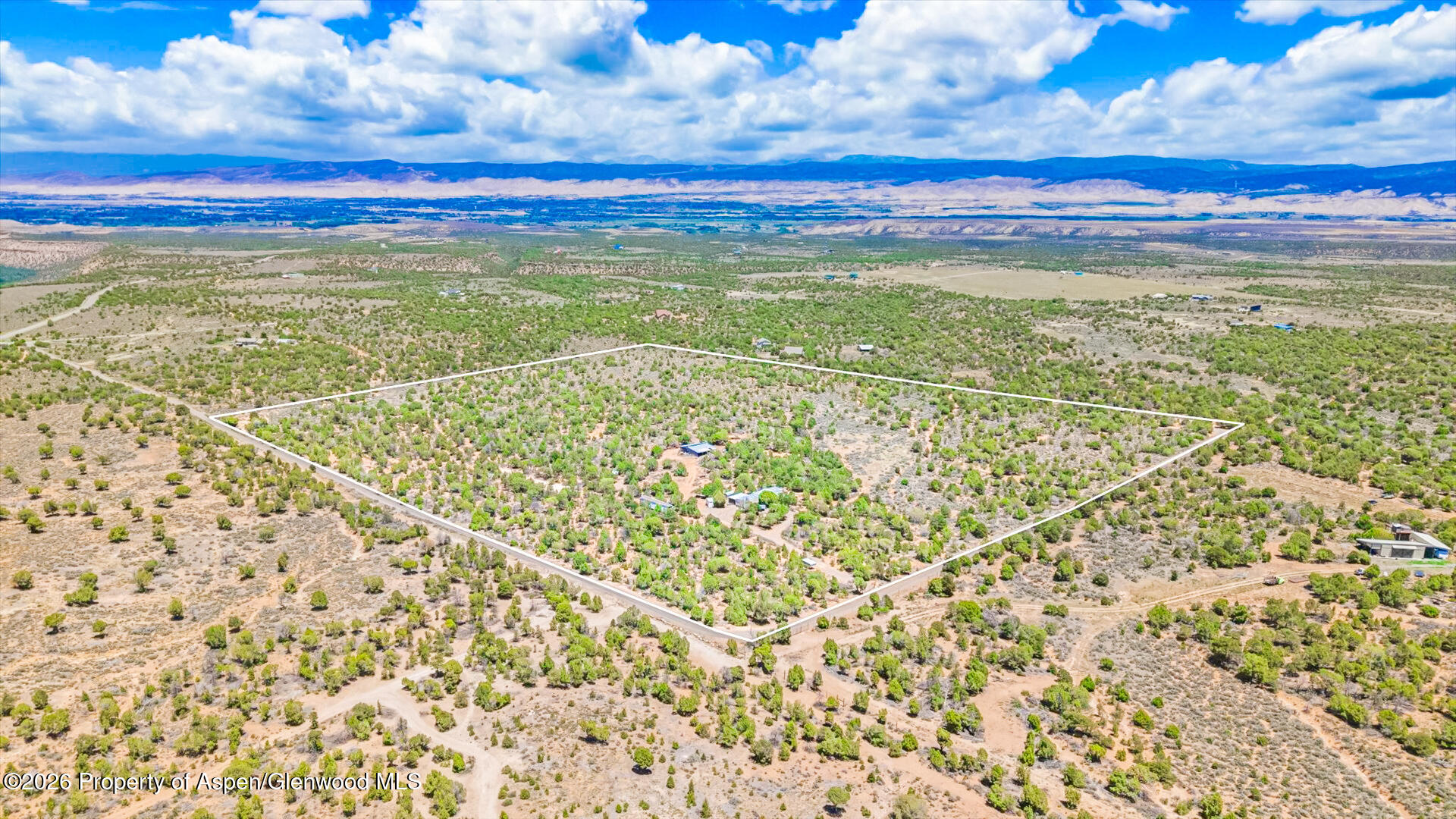 61020 Tres Coyotes Trail Montrose CO 81403
