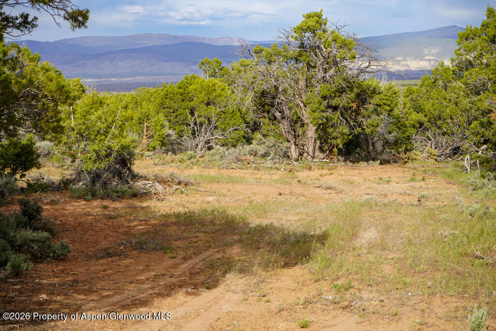 61020 Tres Coyotes Trail Montrose CO 81403