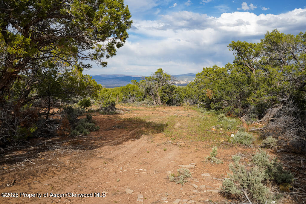 61020 Tres Coyotes Trail Montrose CO 81403