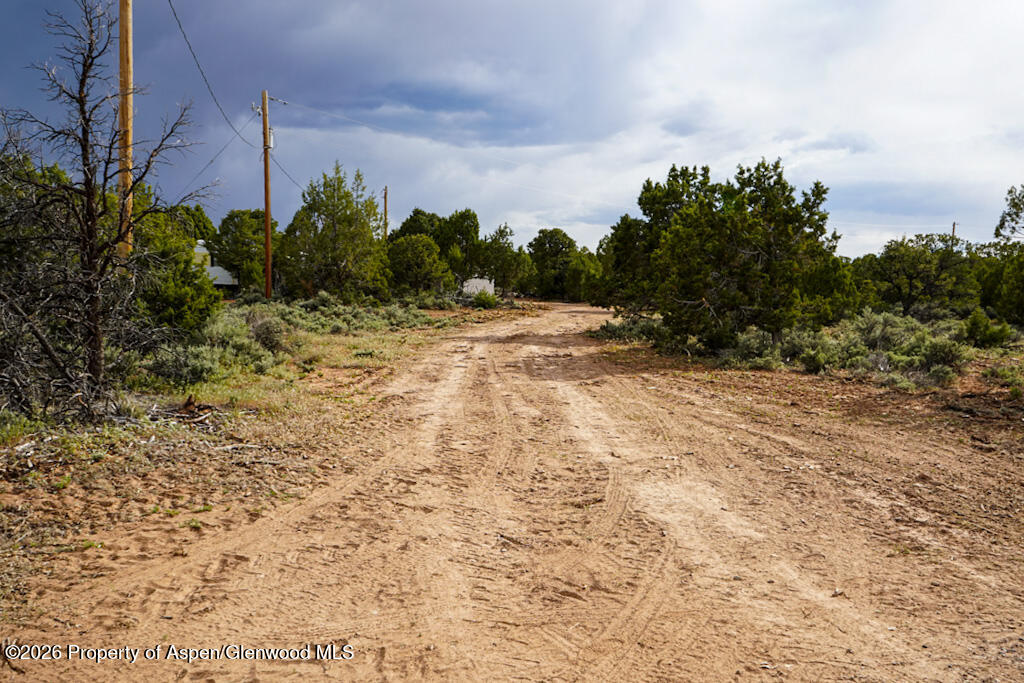 61020 Tres Coyotes Trail Montrose CO 81403