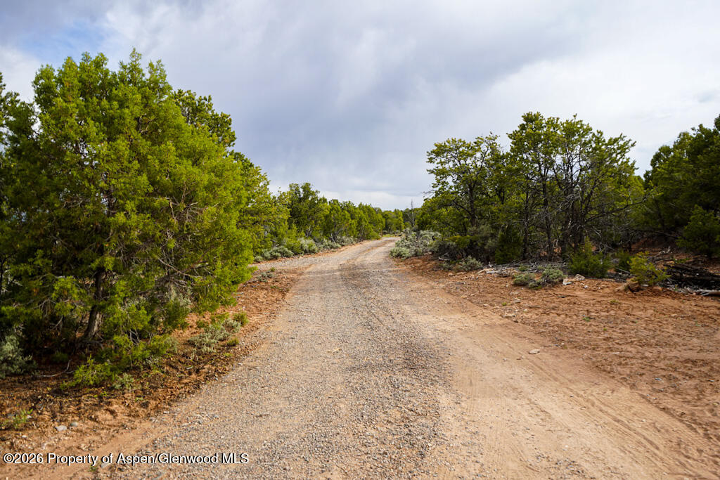 61020 Tres Coyotes Trail Montrose CO 81403
