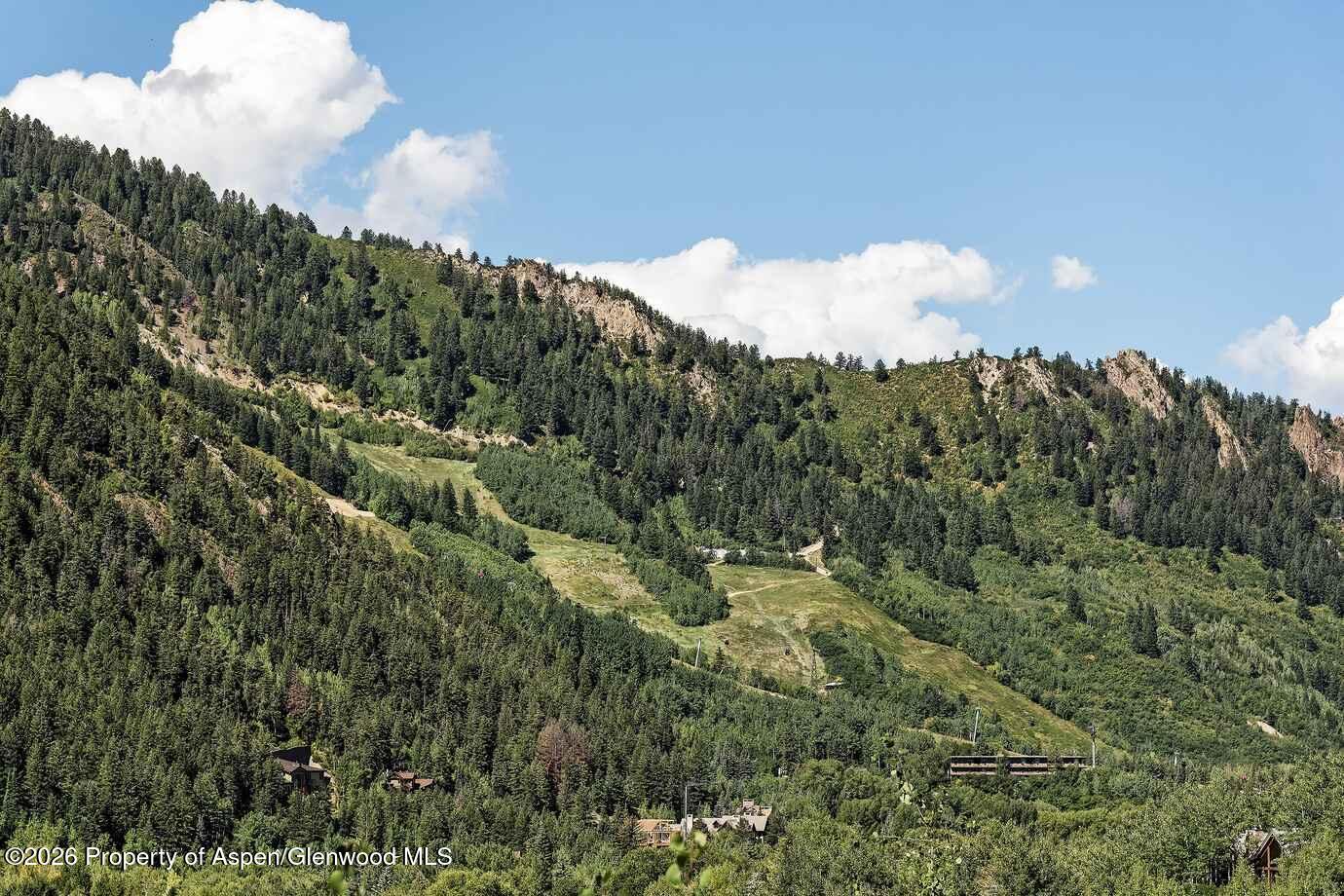 257 Mountain Laurel Drive Aspen CO 81611