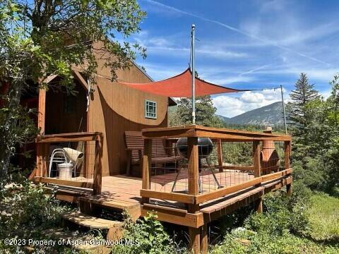 142 Serpentine Trail Marble CO 81623