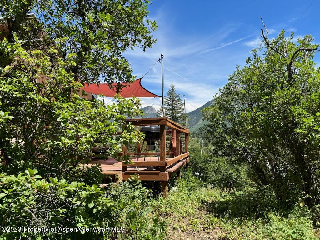 142 Serpentine Trail Marble CO 81623