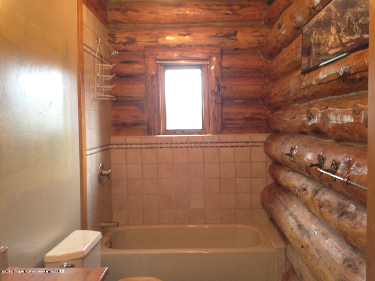 204 Castle Lane Basalt CO 81621