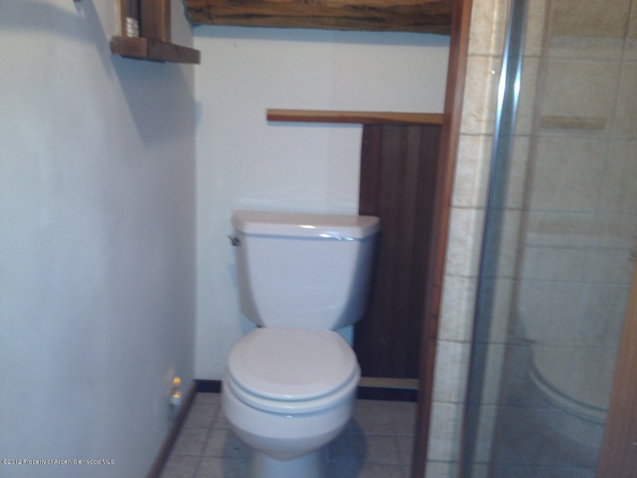 204 Castle Lane Basalt CO 81621