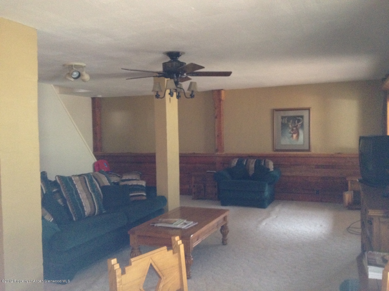 204 Castle Lane Basalt CO 81621