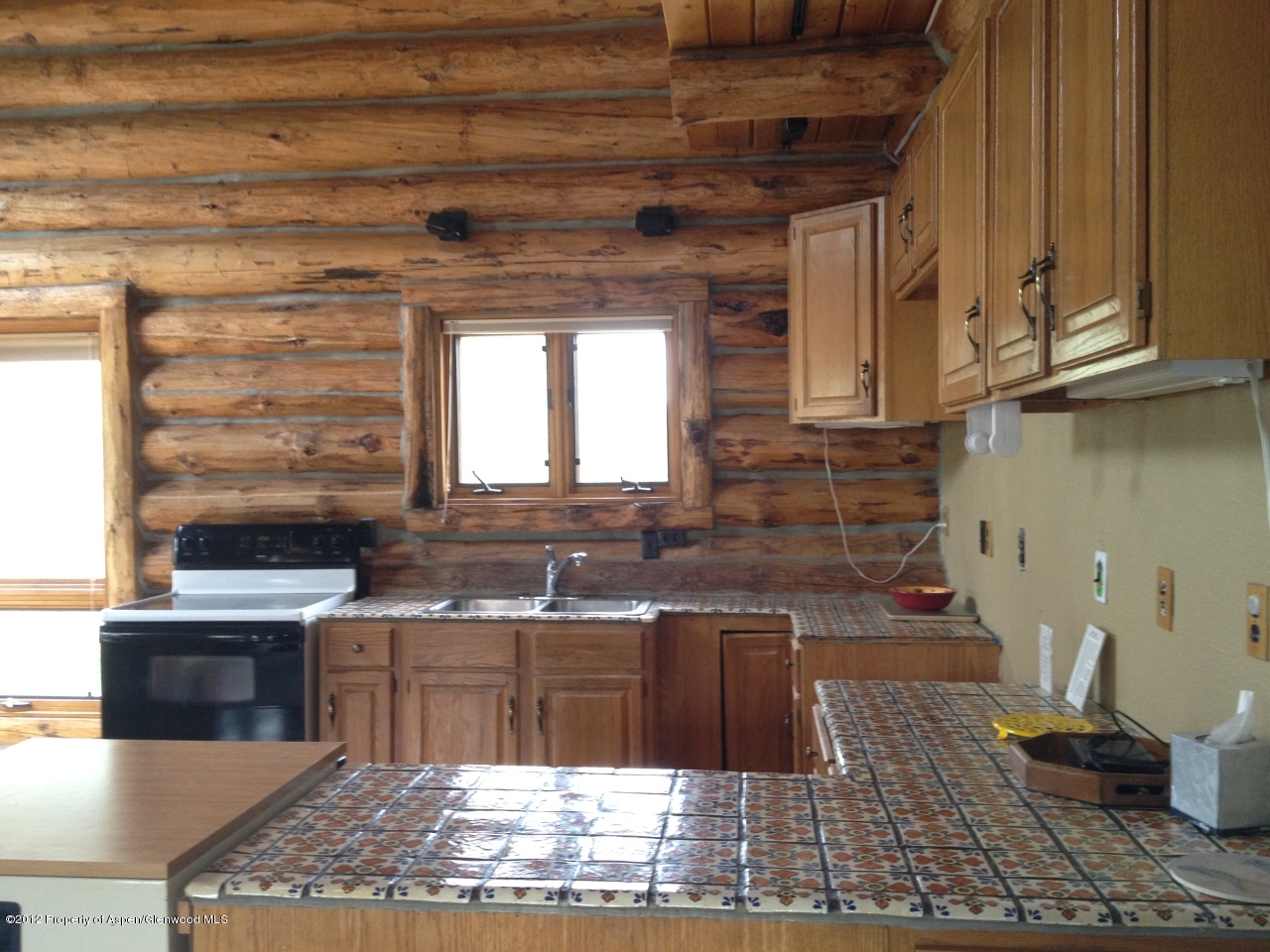 204 Castle Lane Basalt CO 81621