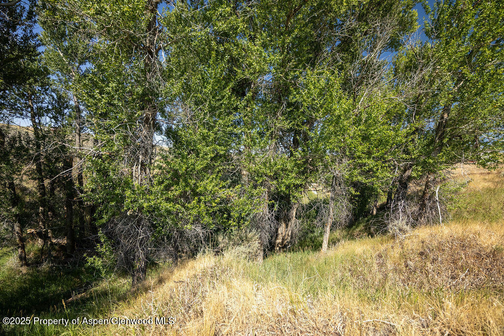 250 W 20th Street Craig CO 81625