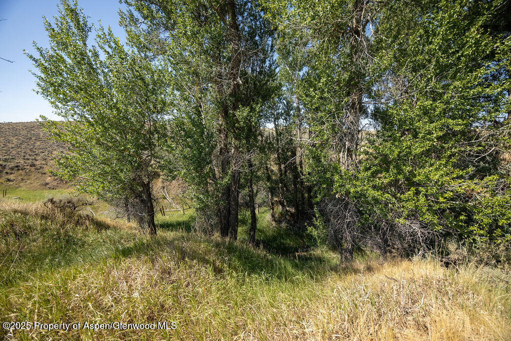 250 W 20th Street Craig CO 81625