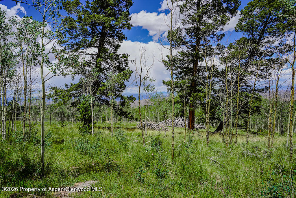 Tbd 1tt Road Gunnison CO 81230