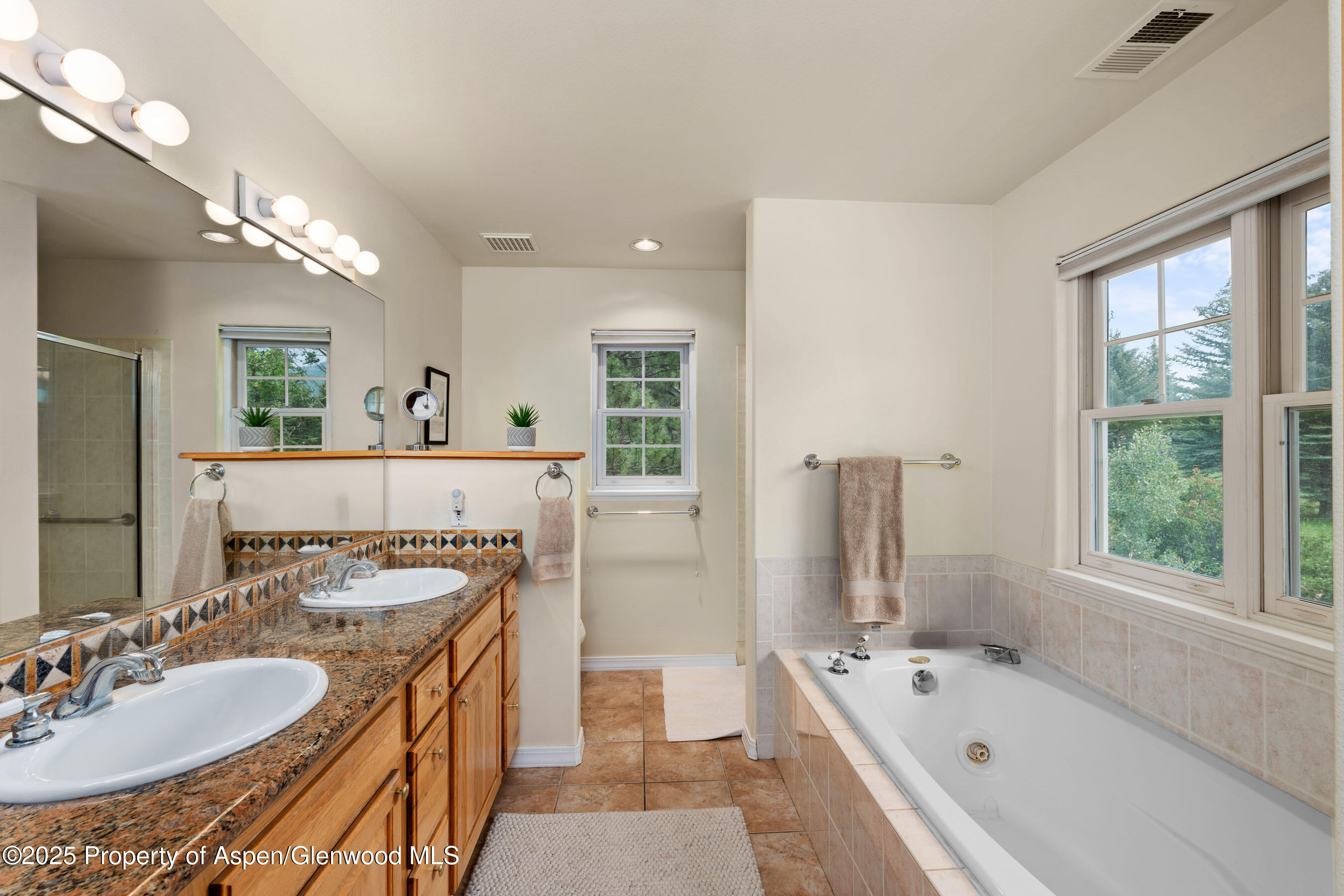 755 Hearthstone Drive Basalt CO 81621