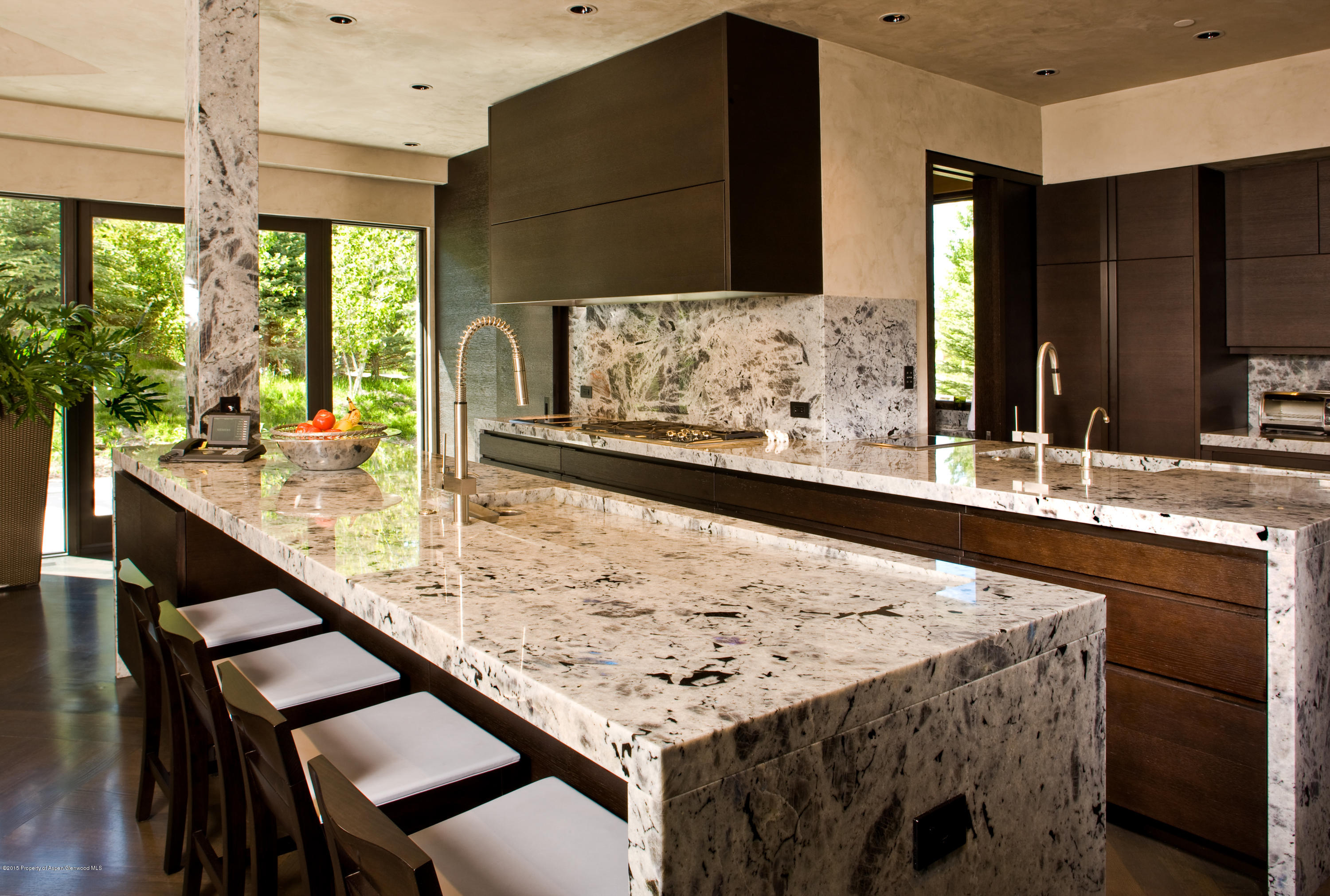 196 Pfister Drive Aspen CO 81611