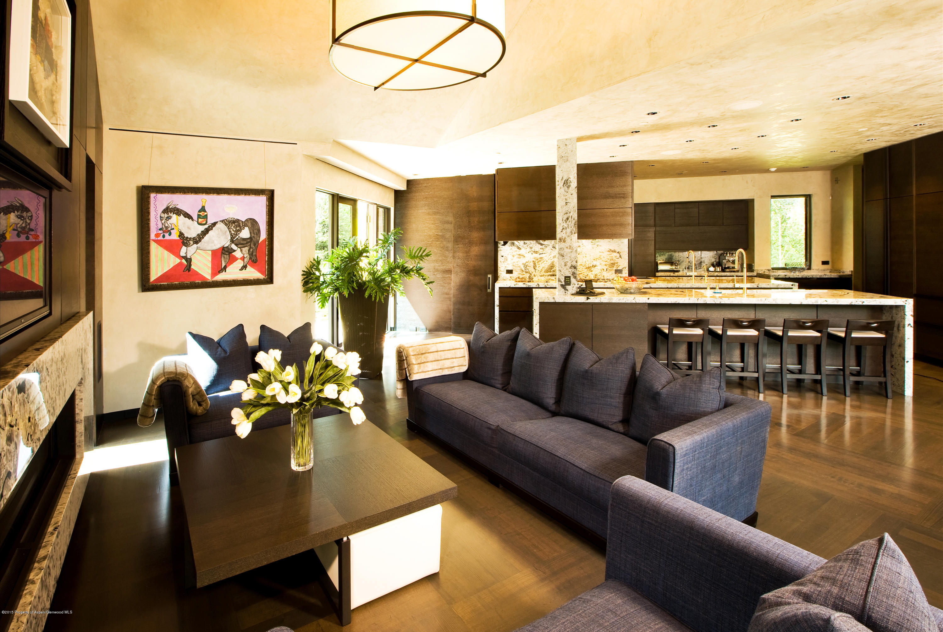 196 Pfister Drive Aspen CO 81611