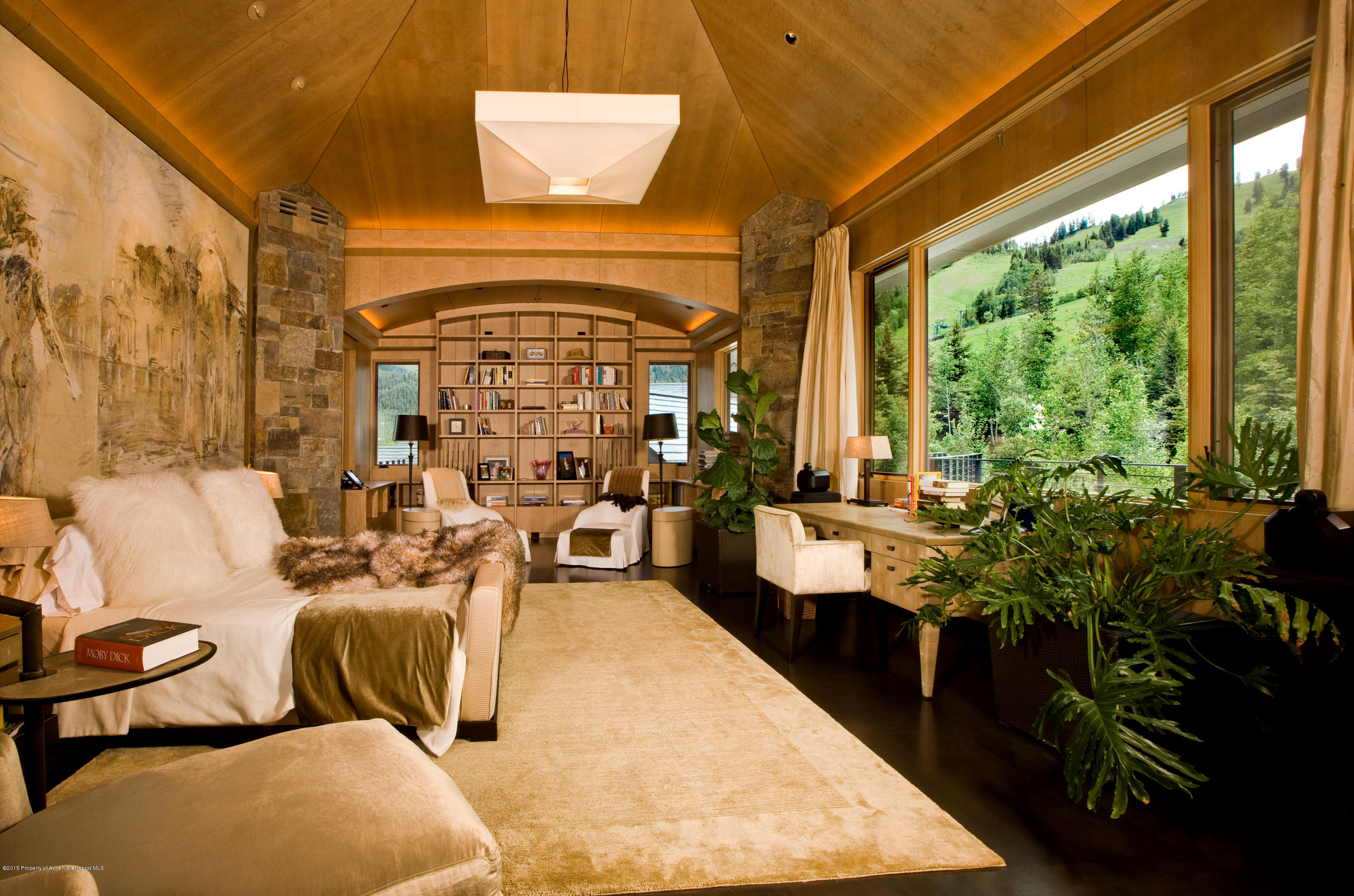 196 Pfister Drive Aspen CO 81611