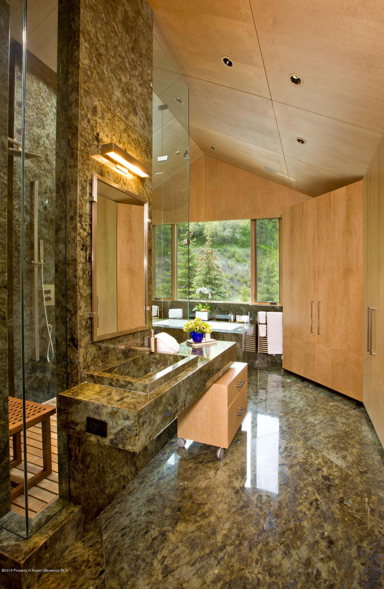 196 Pfister Drive Aspen CO 81611