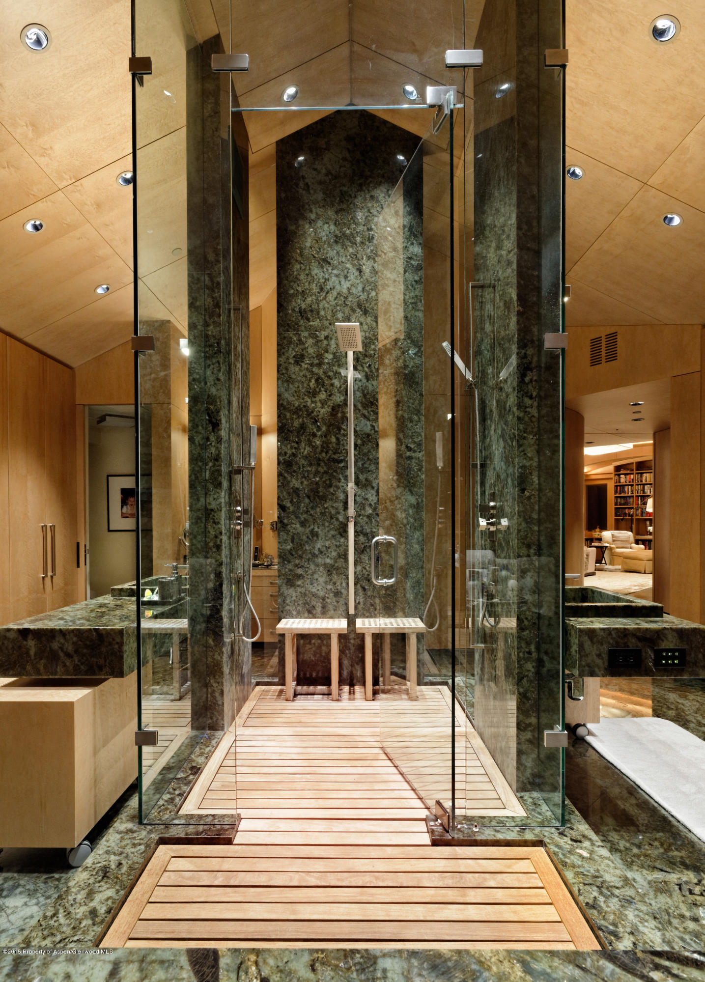 196 Pfister Drive Aspen CO 81611